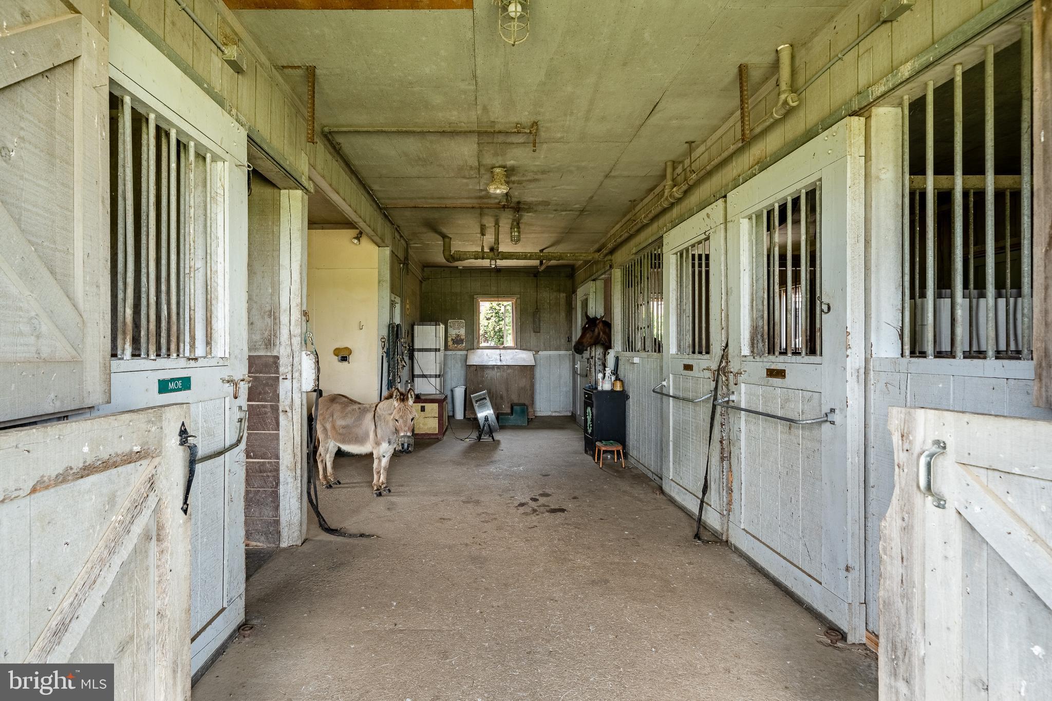 CHESHIRE HUNT - Residential