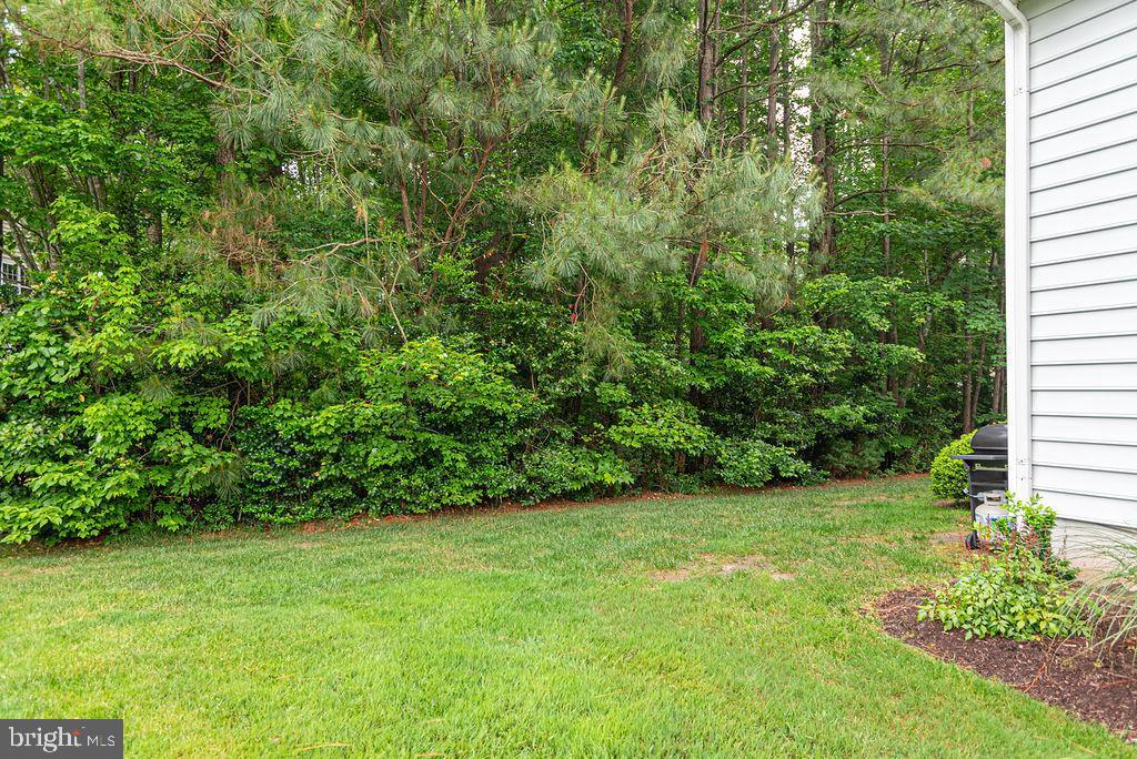 OCEAN PINES - THE PARKE - Residential