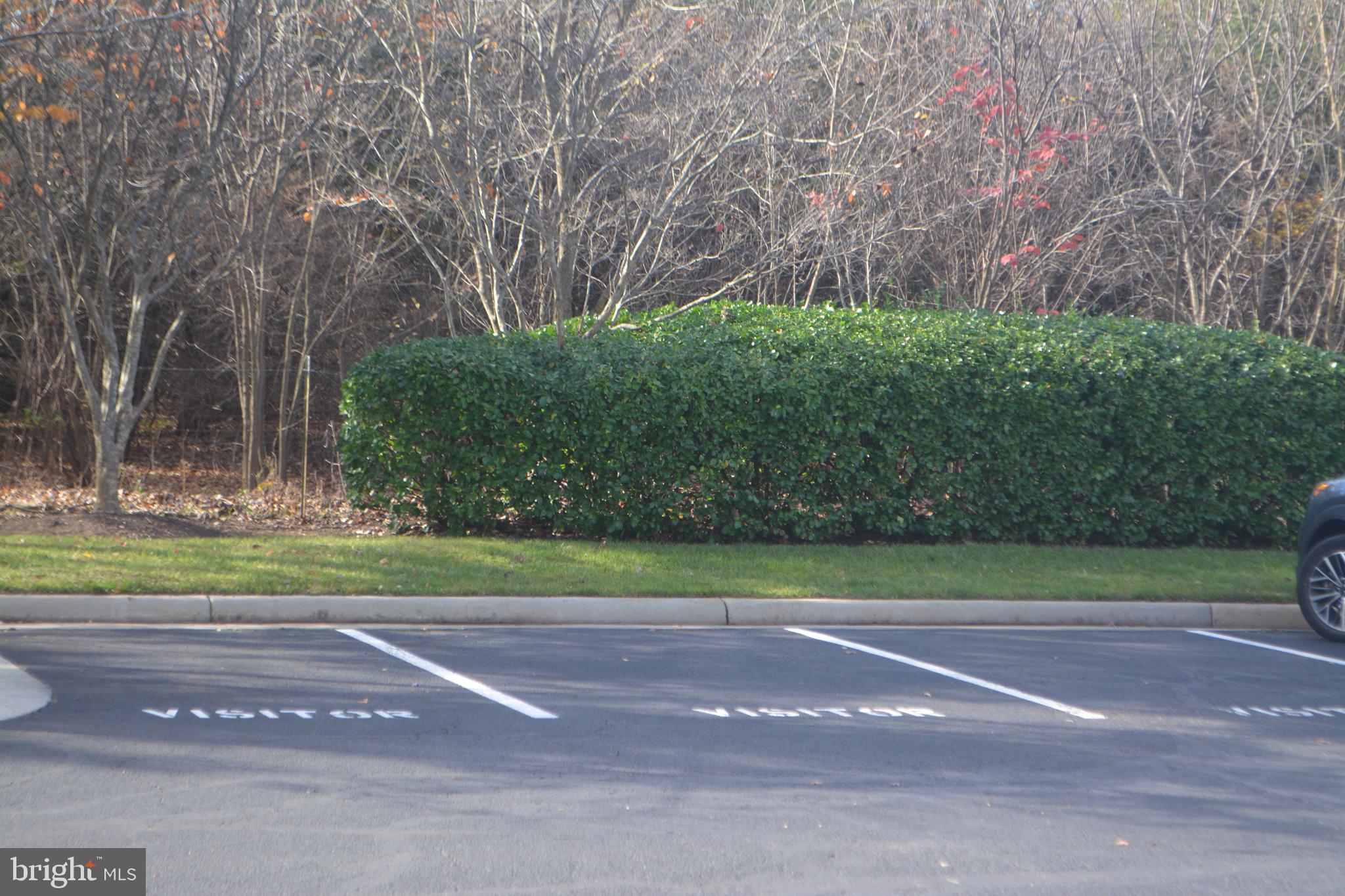 WESTCHESTER AT STRATFORD - Residential