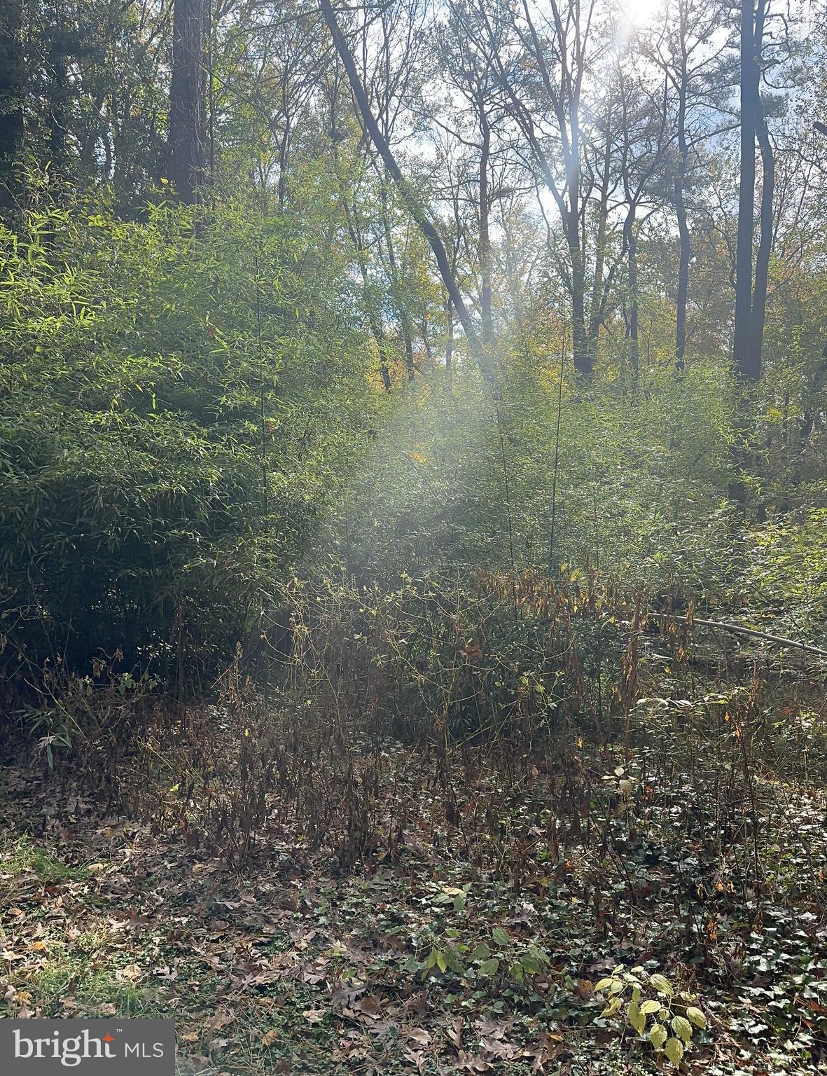 CROOKED OAK ESTATES - Residential