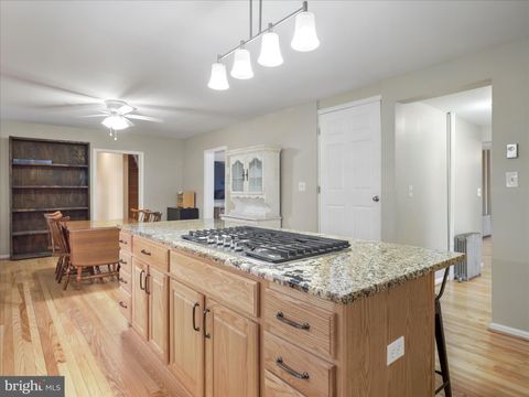 Tiny photo for 17224 - B Sabillasville Road, SABILLASVILLE, MD 21780 (MLS # MDFR2077668)