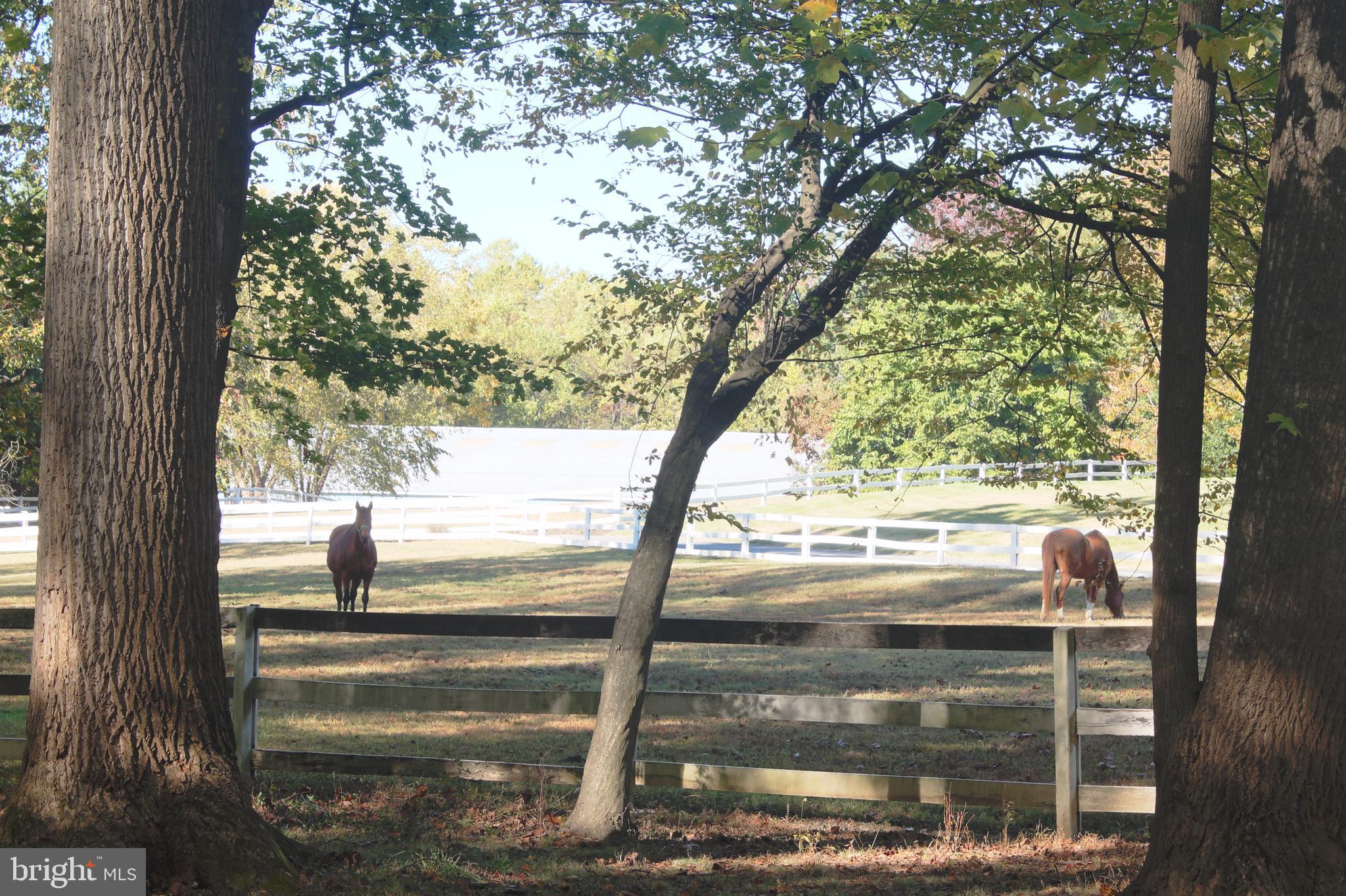 CLARKSVILLE HUNT - Residential