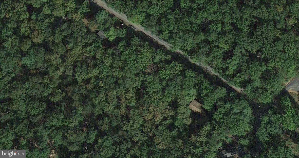 GLENWOOD FOREST - Land