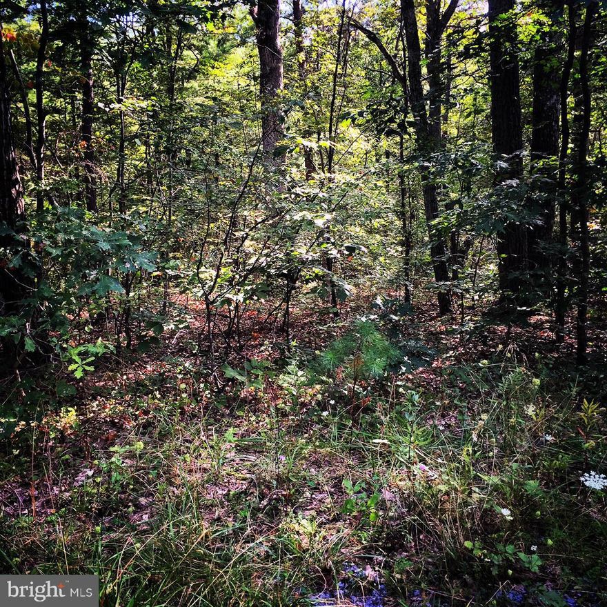 HUGE PRICE DROP! Ready to build on! This one acre lot is listed well below its value. Don't wait on this one as it may not be for sale long!
