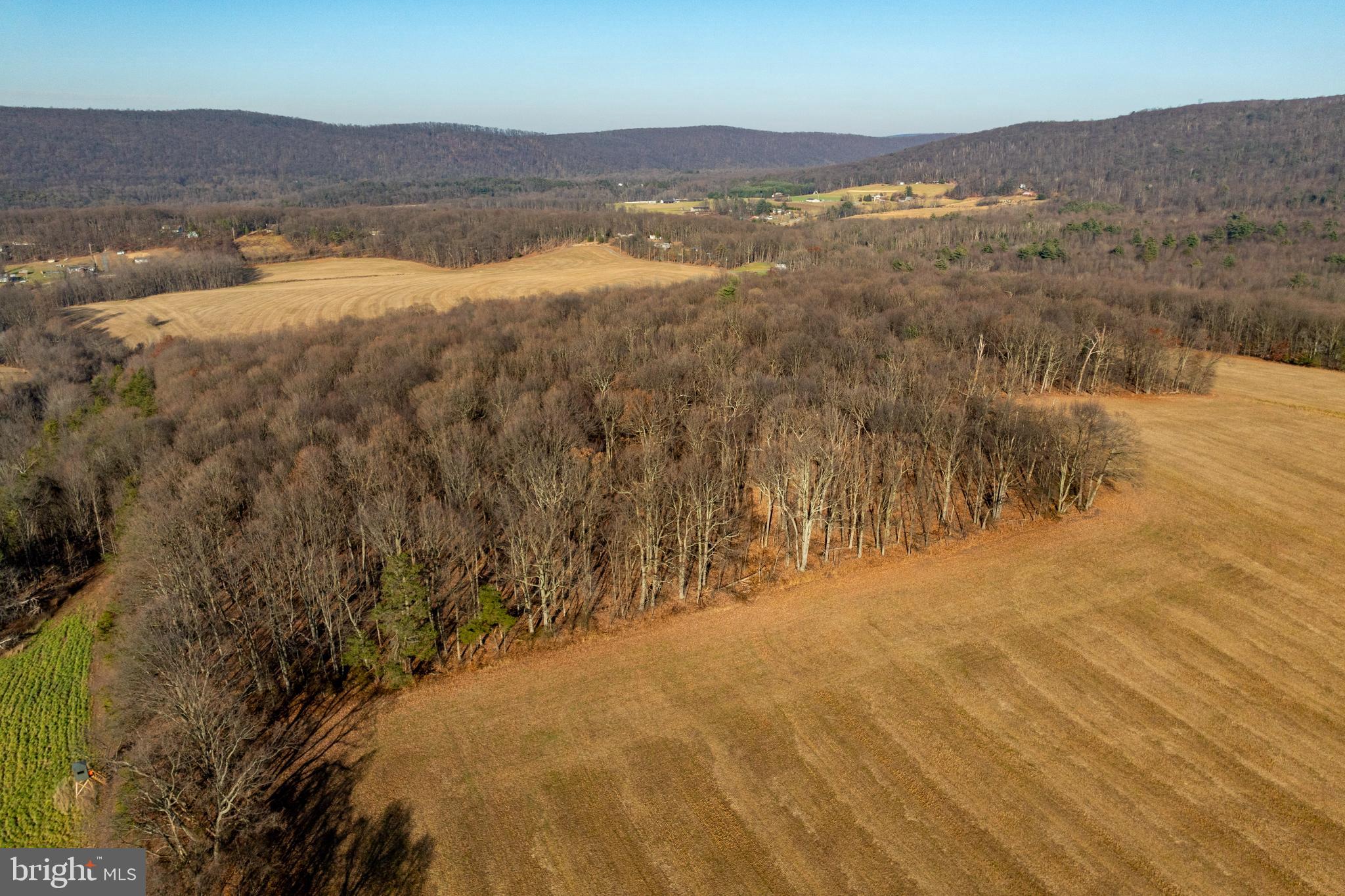 ELIZABETHVILLE - Farm