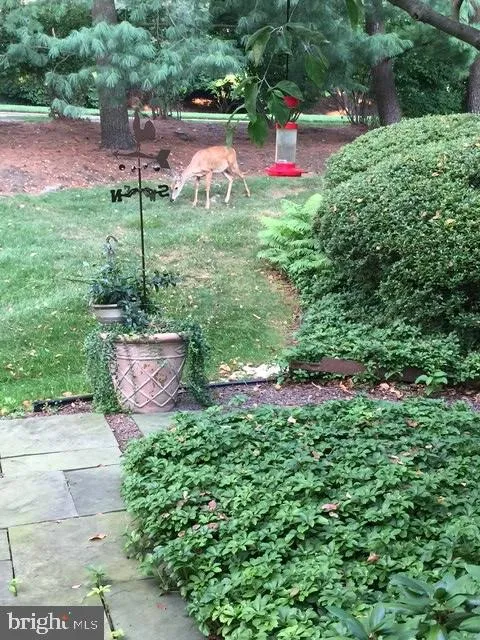 Chesterbrook, Pennsylvania 19087, United States, 5 Bedrooms Bedrooms, ,5 BathroomsBathrooms,Residential,Pending,1924
