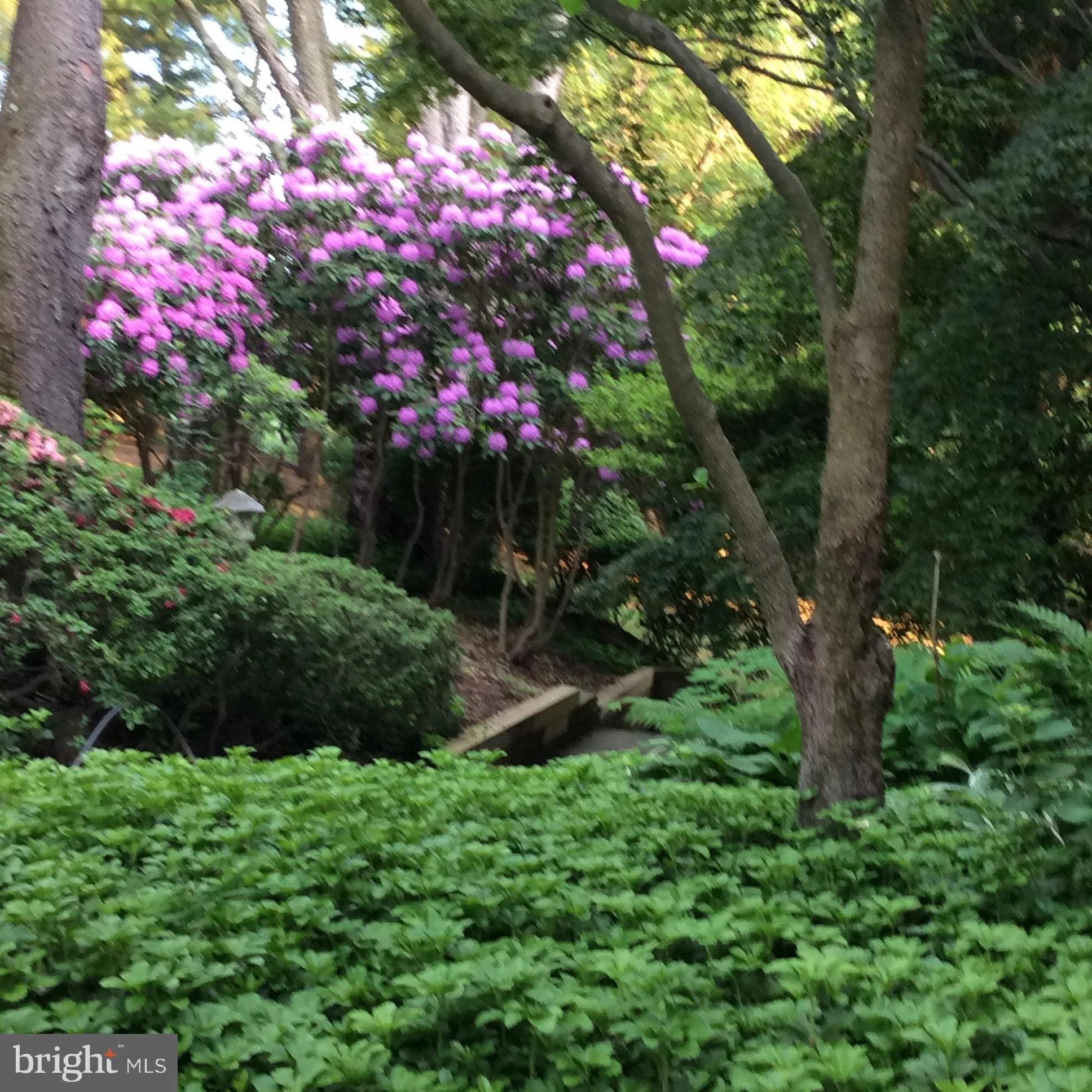Chesterbrook, Pennsylvania 19087, United States, 5 Bedrooms Bedrooms, ,5 BathroomsBathrooms,Residential,Pending,1924