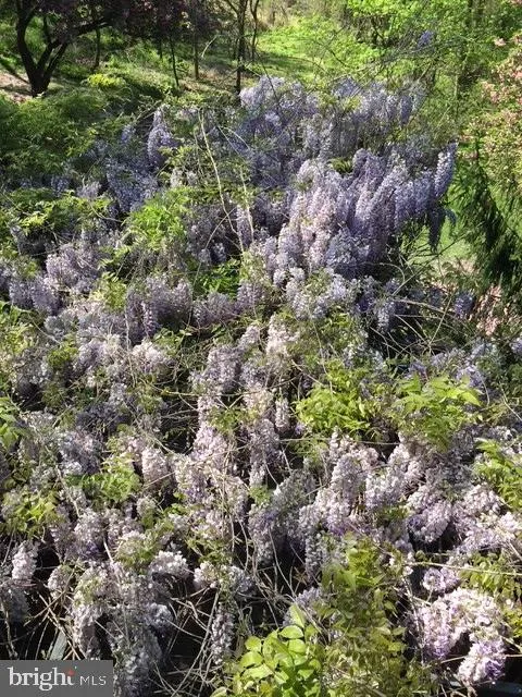 Chesterbrook, Pennsylvania 19087, United States, 5 Bedrooms Bedrooms, ,5 BathroomsBathrooms,Residential,Pending,1924