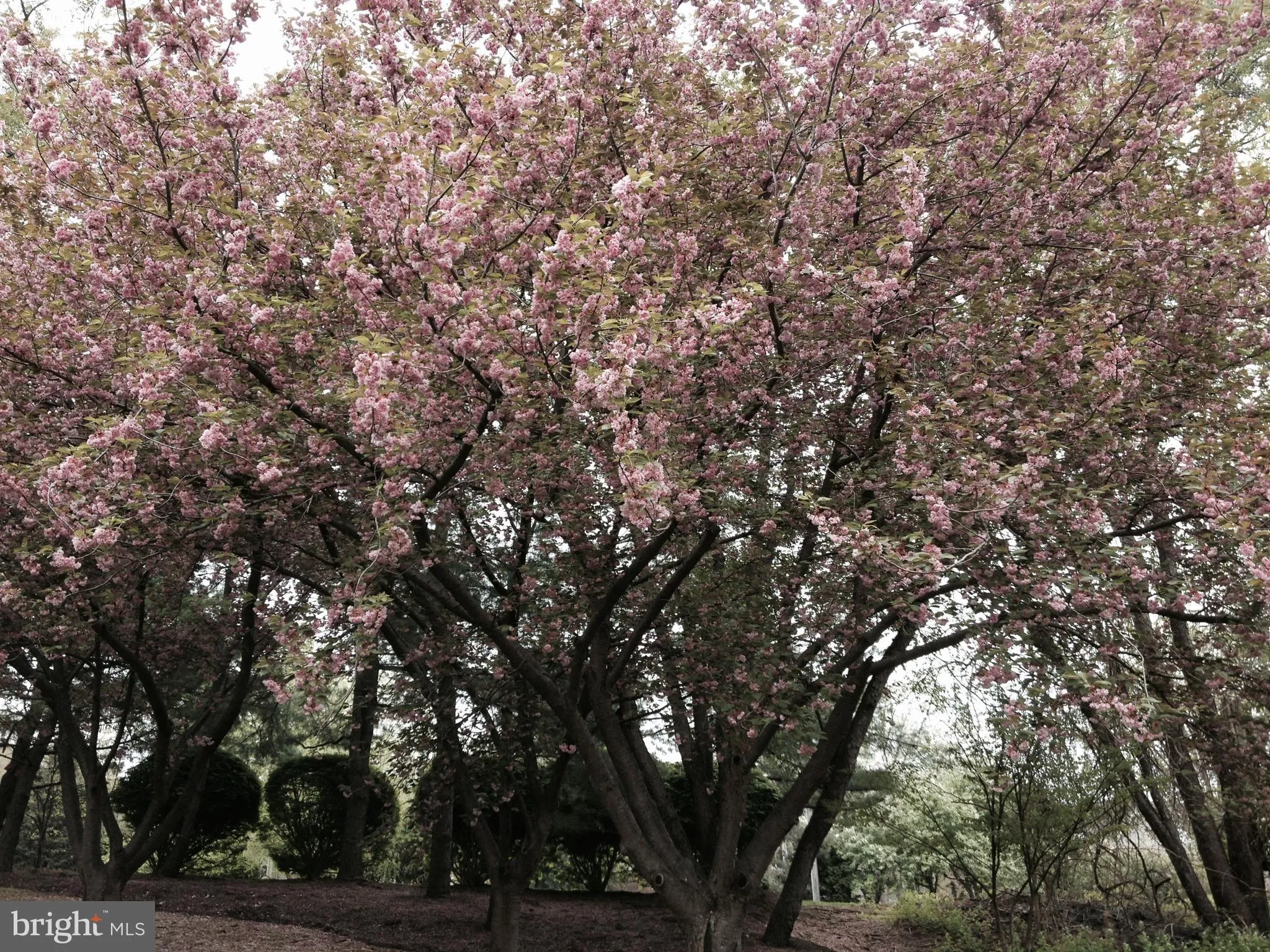 Chesterbrook, Pennsylvania 19087, United States, 5 Bedrooms Bedrooms, ,5 BathroomsBathrooms,Residential,Pending,1924