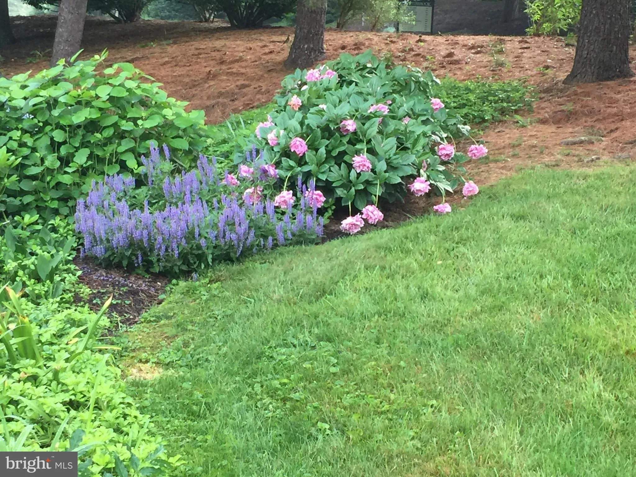 Chesterbrook, Pennsylvania 19087, United States, 5 Bedrooms Bedrooms, ,5 BathroomsBathrooms,Residential,Pending,1924