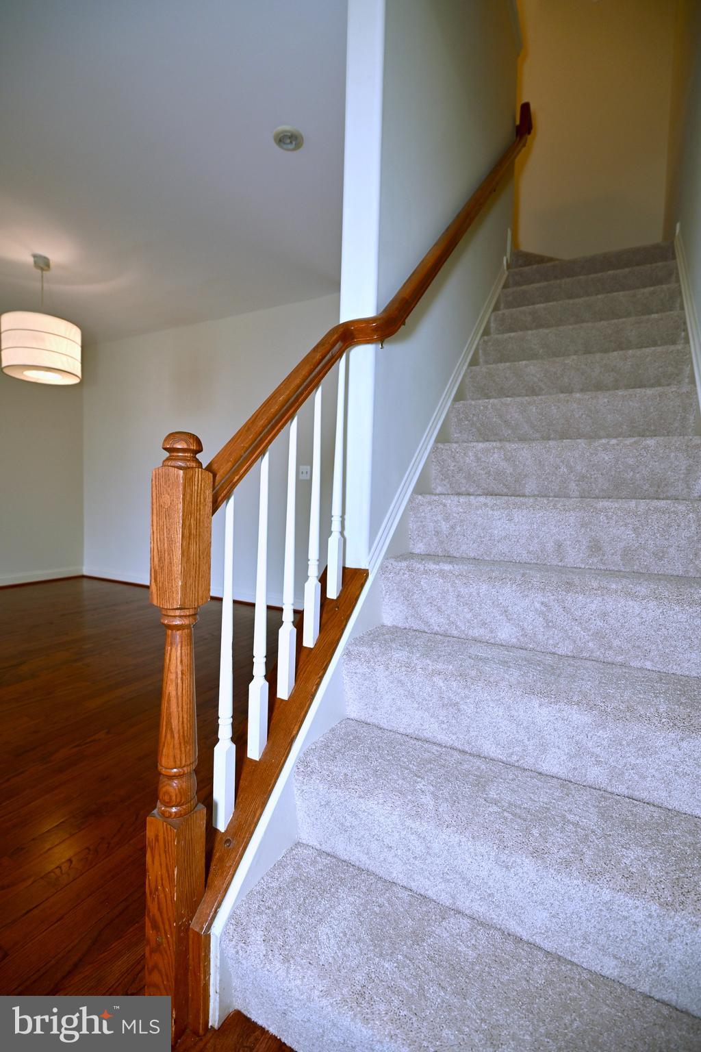 SHEFFIELD MANOR - Residential Lease