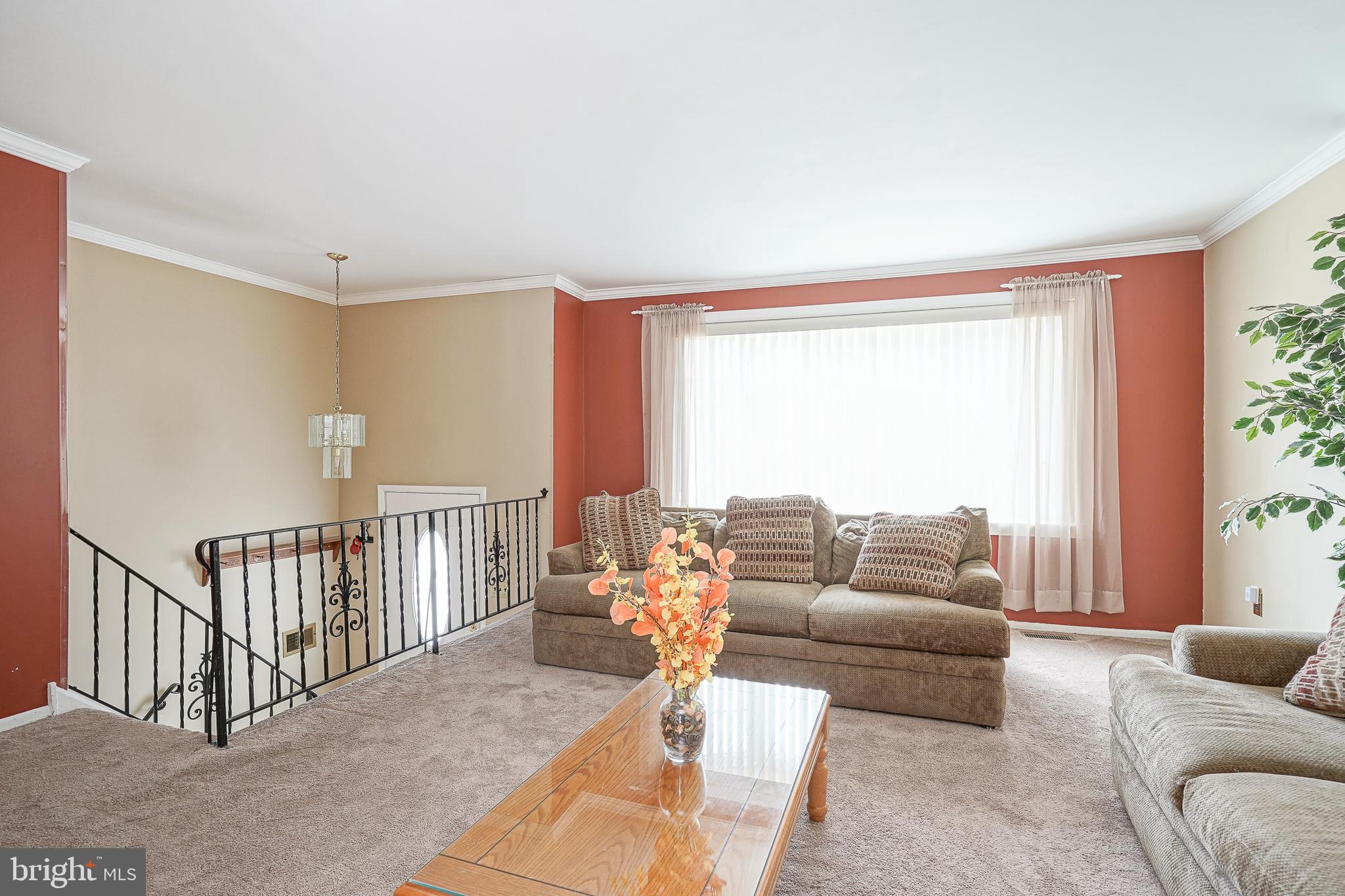 11 FRANKLIN AVENUE
