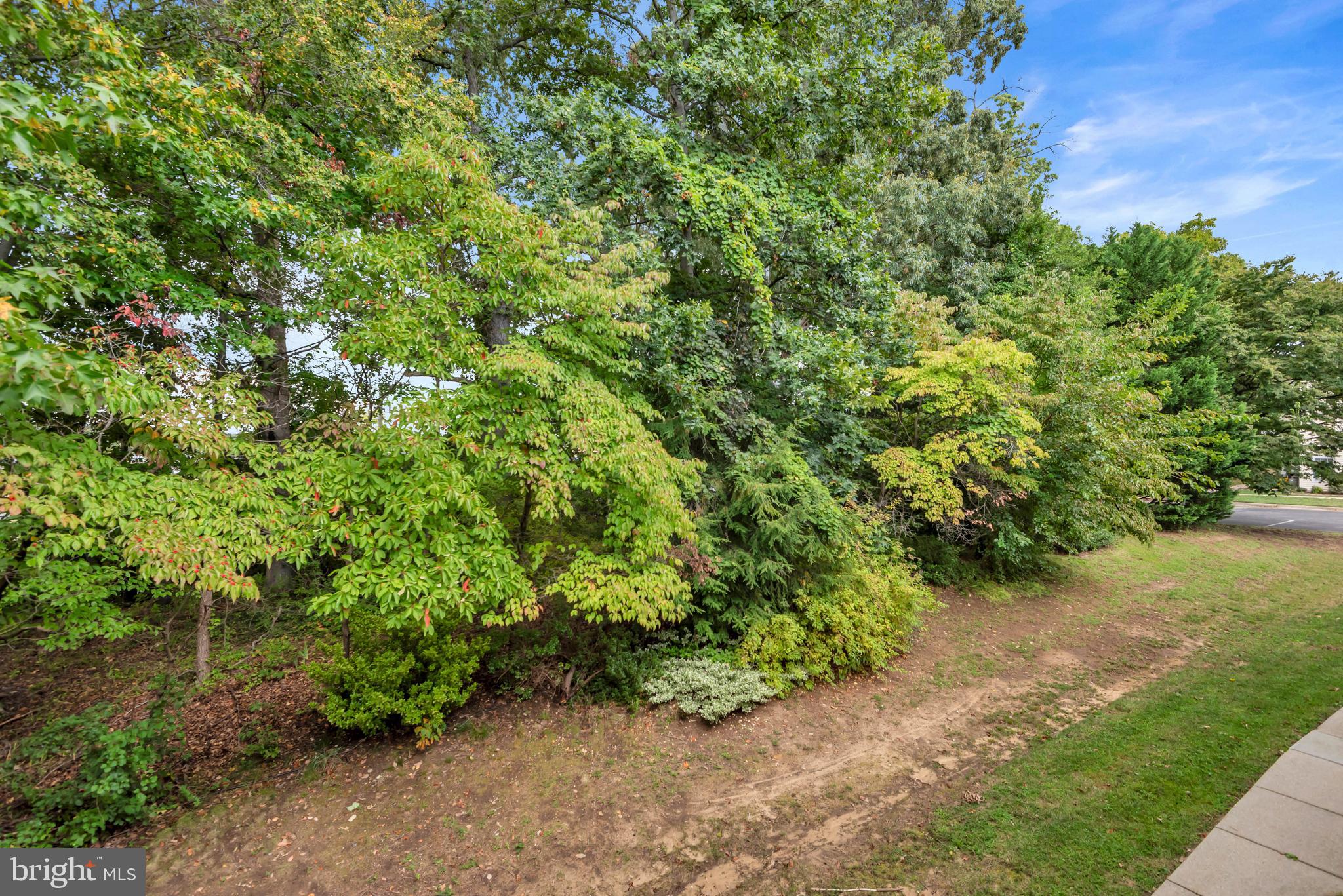 CEDAR GROVE AT CROFTON - Residential