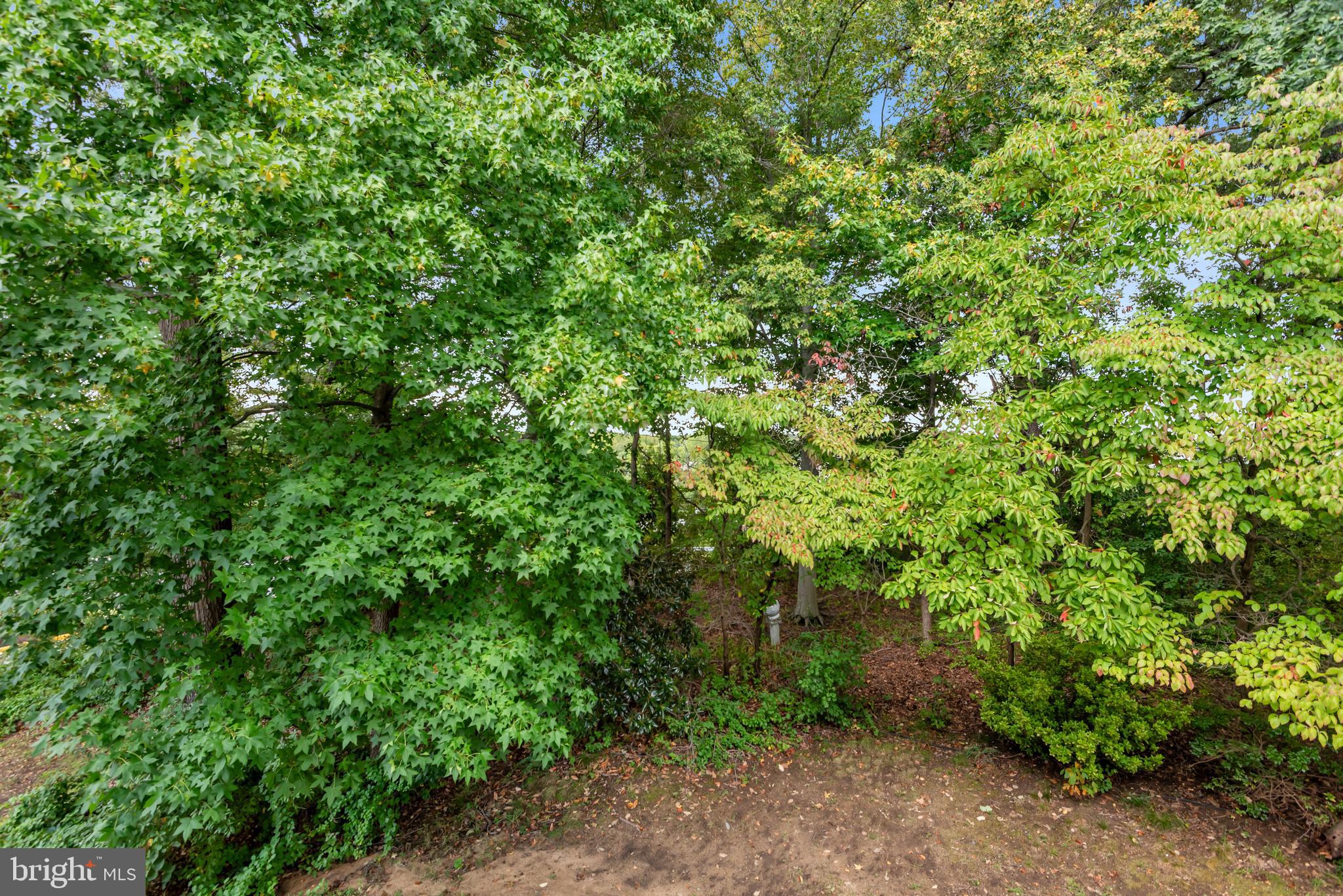 CEDAR GROVE AT CROFTON - Residential