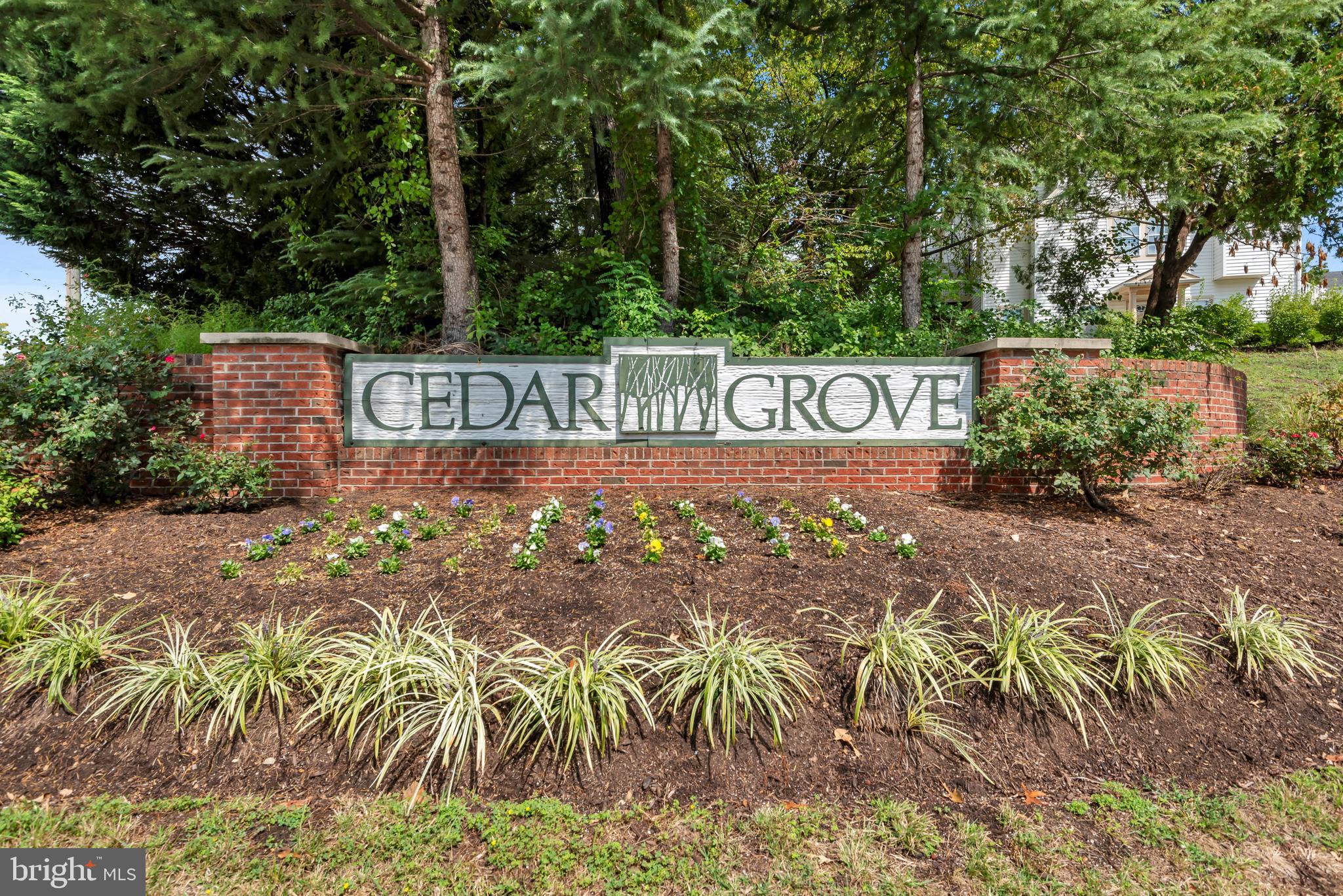 CEDAR GROVE AT CROFTON - Residential