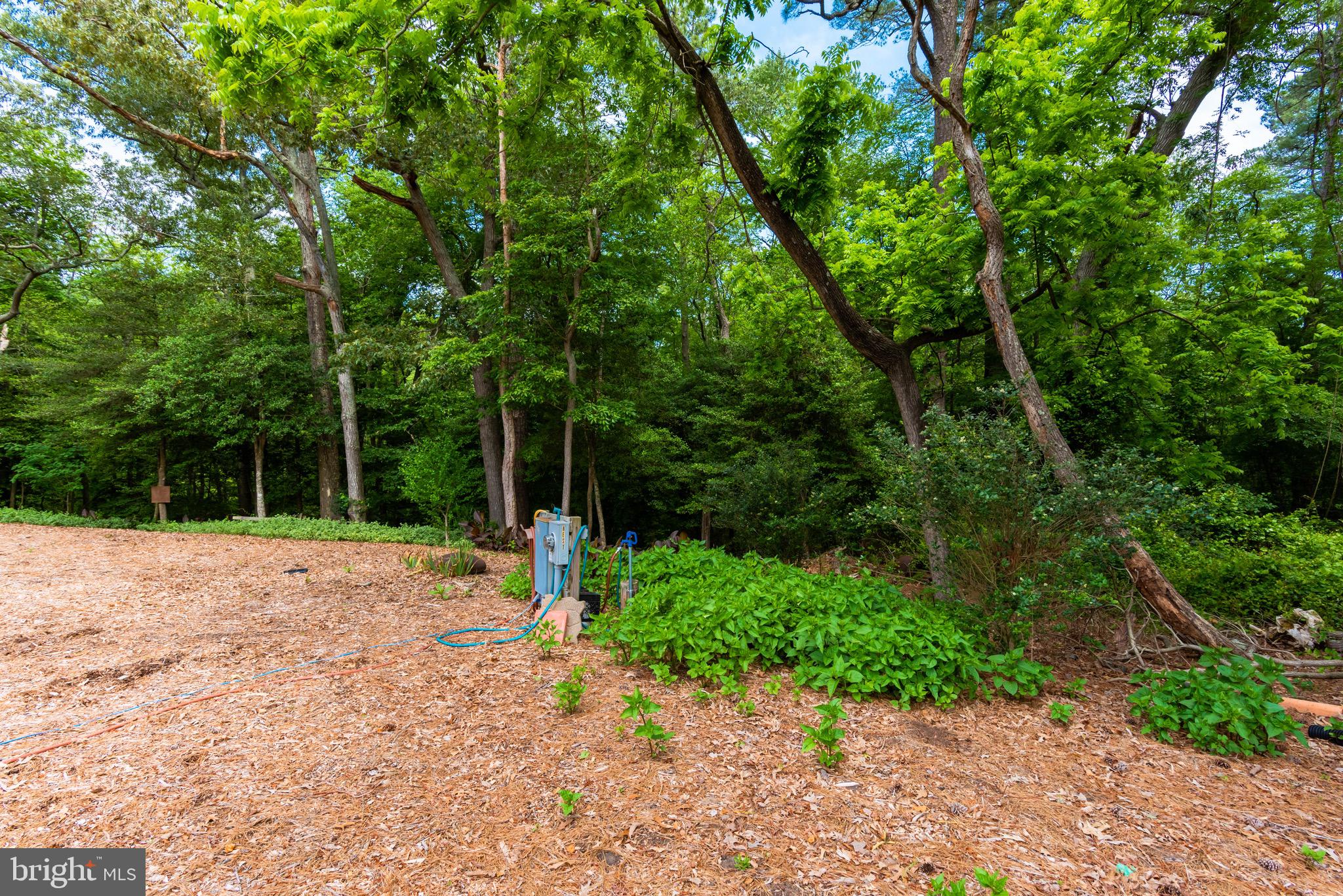 NON DEVELOPMENT - Residential