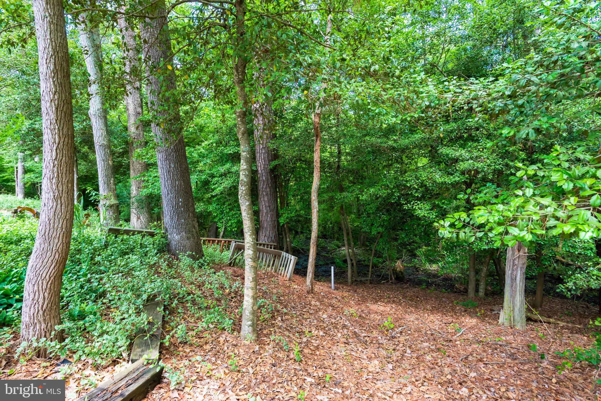 NON DEVELOPMENT - Residential