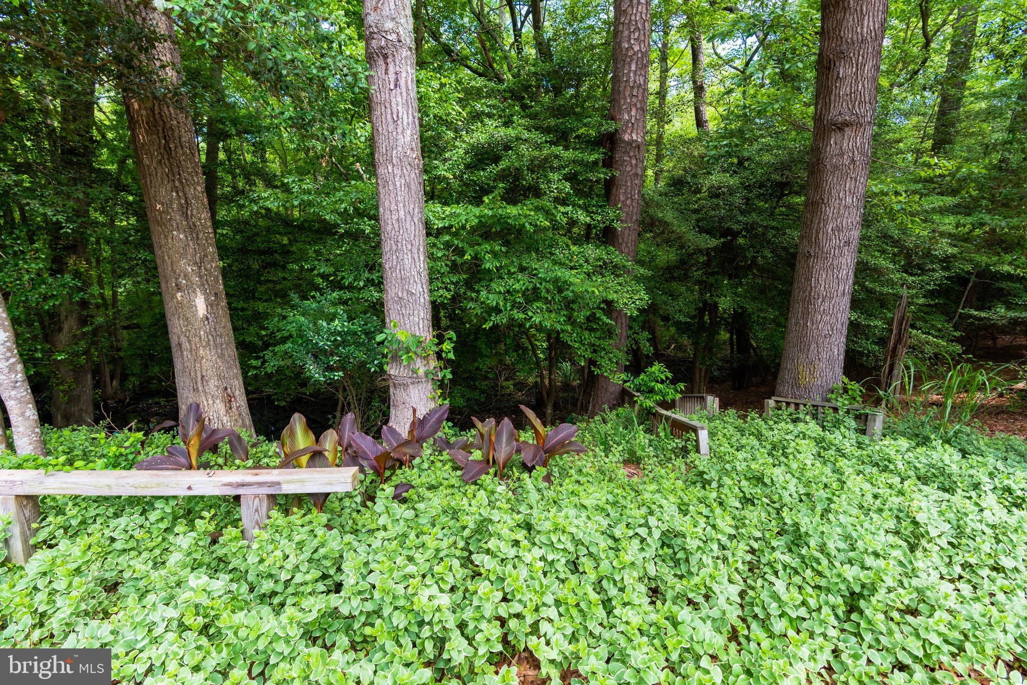 NON DEVELOPMENT - Residential