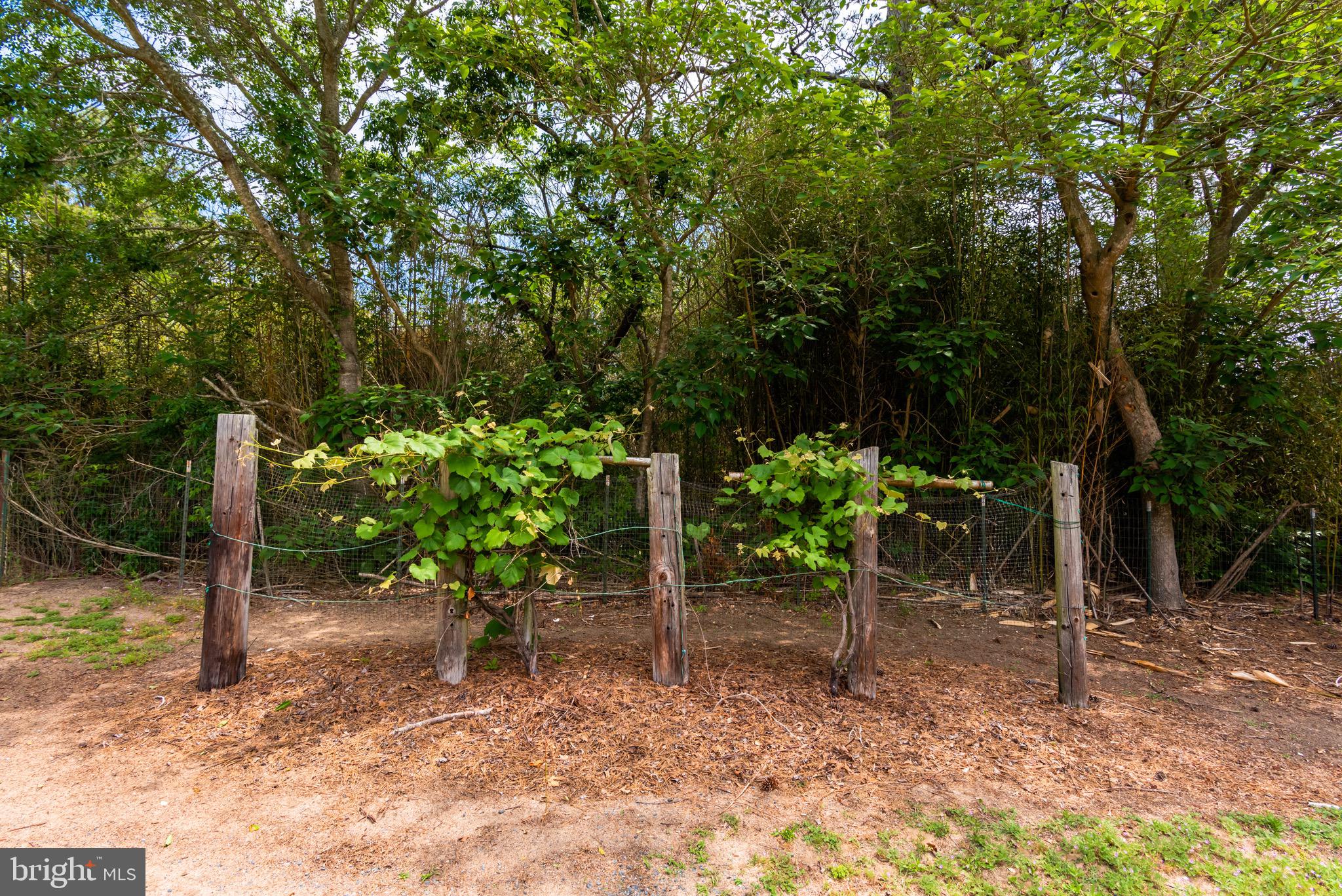 NON DEVELOPMENT - Residential