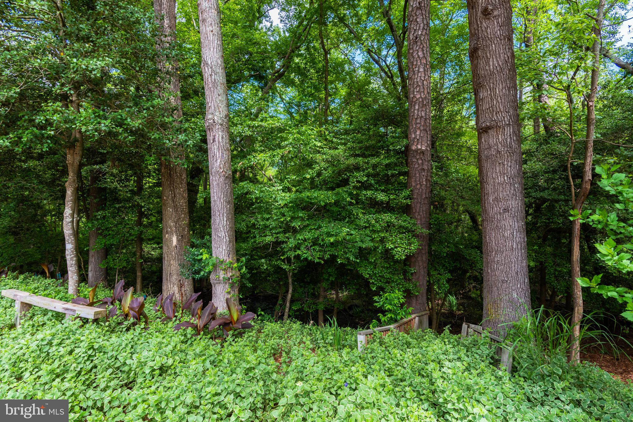 NON DEVELOPMENT - Residential