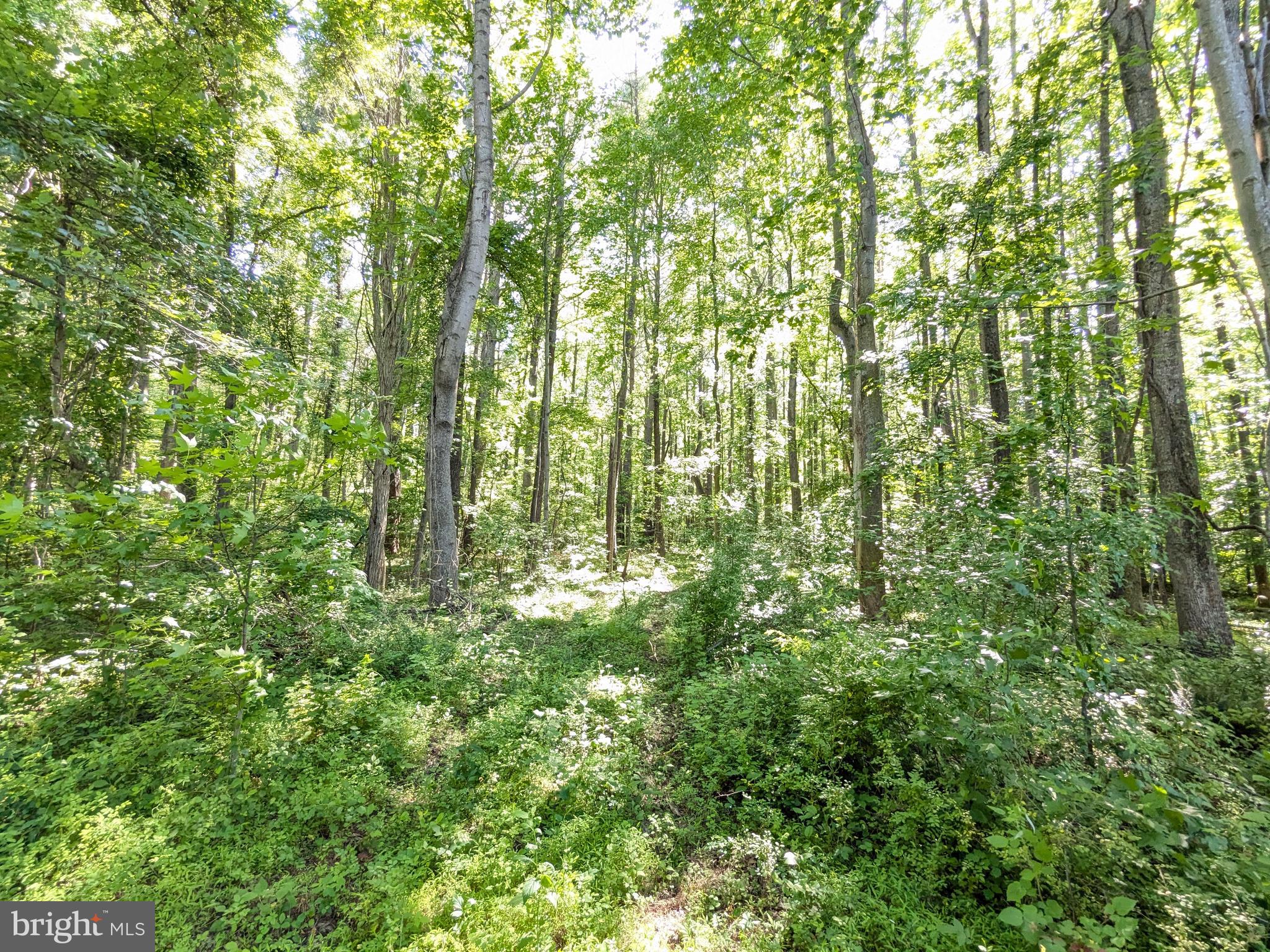 1260 LOTTIE FOWLER ROAD