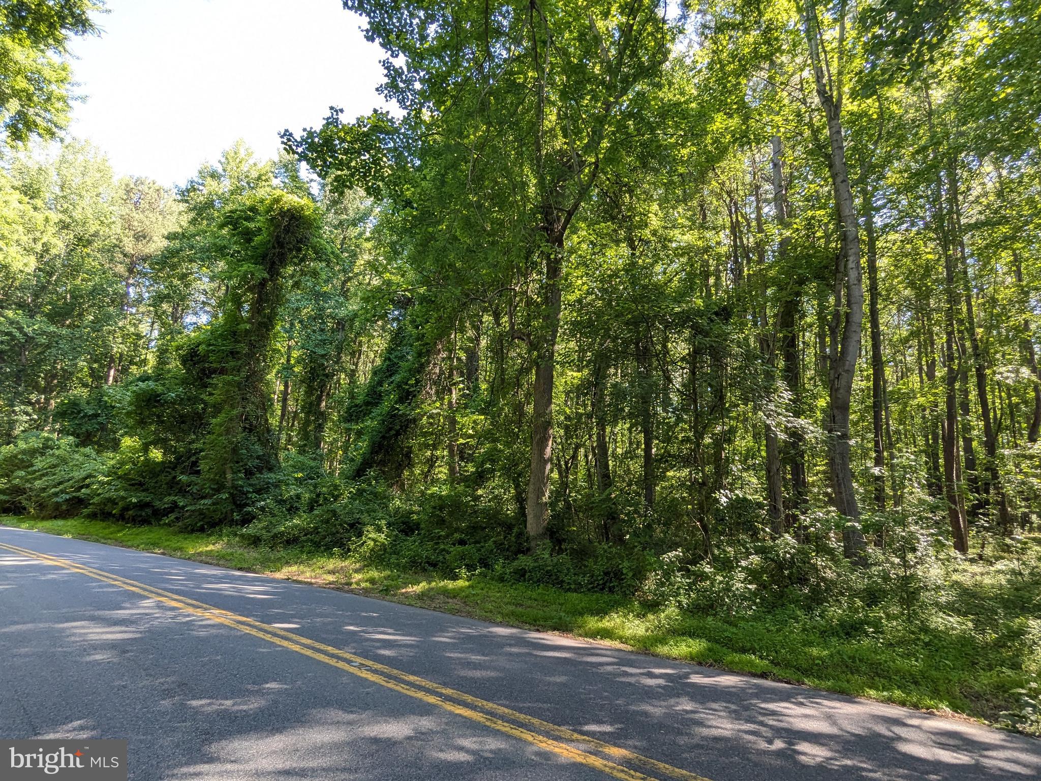 1260 LOTTIE FOWLER ROAD