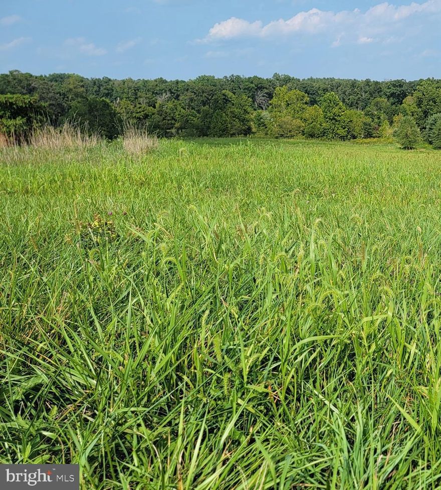 Nice open 10.42 acre lot with well and is currently in clean and green.  Has two older sand mound percs. Buyer will need to confirm current status of percs.  Lot runs down to the other side of the stream.  House location would be near the road as the lower area of the lot near the stream is in a flood zone.