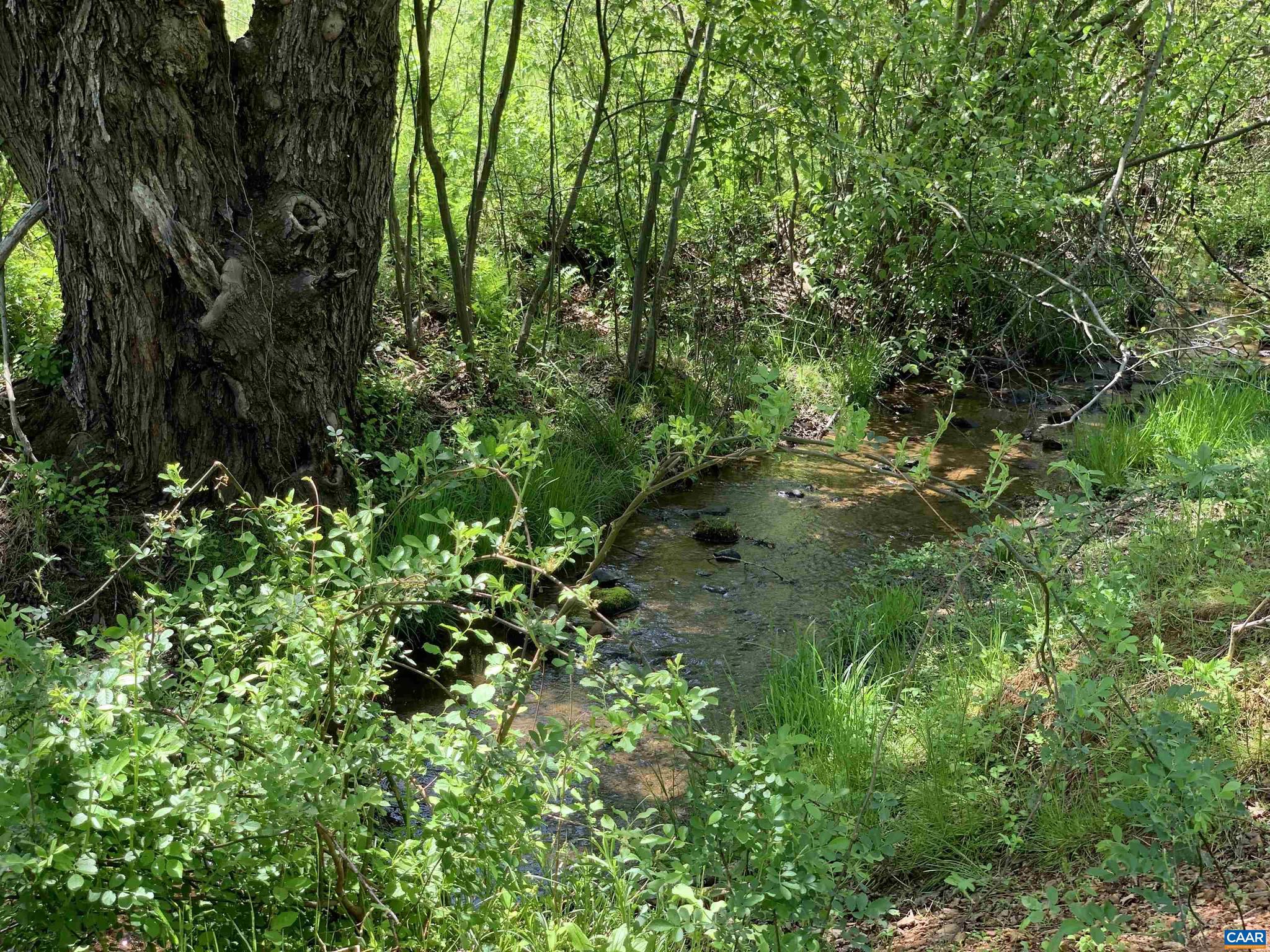 NONE AVAILABLE - Land