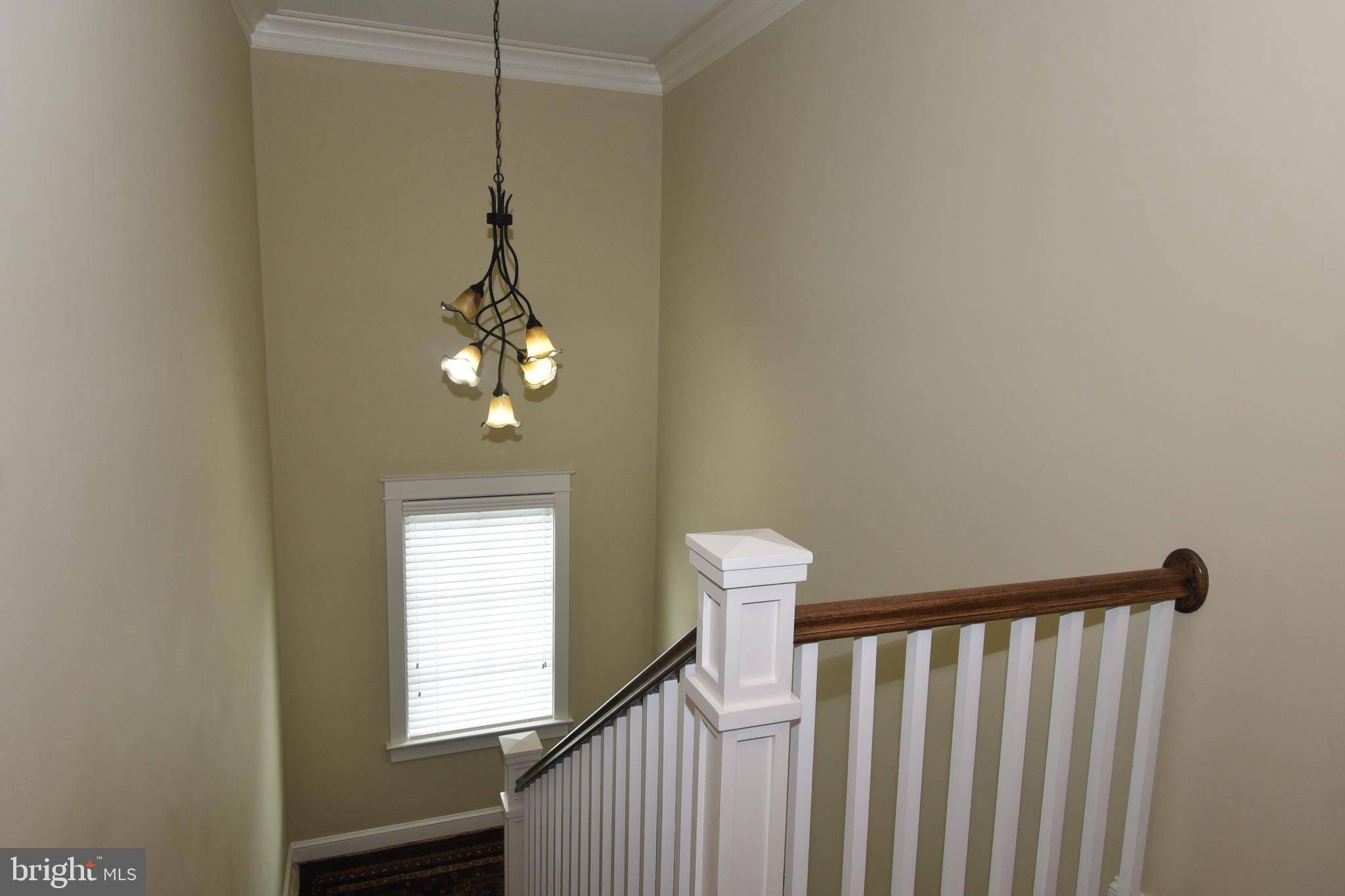 ALCOVA HEIGHTS - Residential