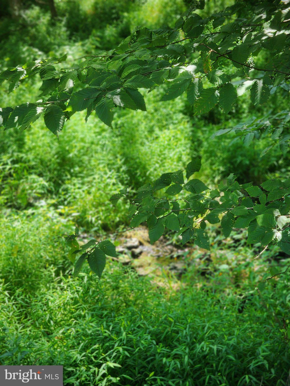 ZITTLESTOWN ROAD