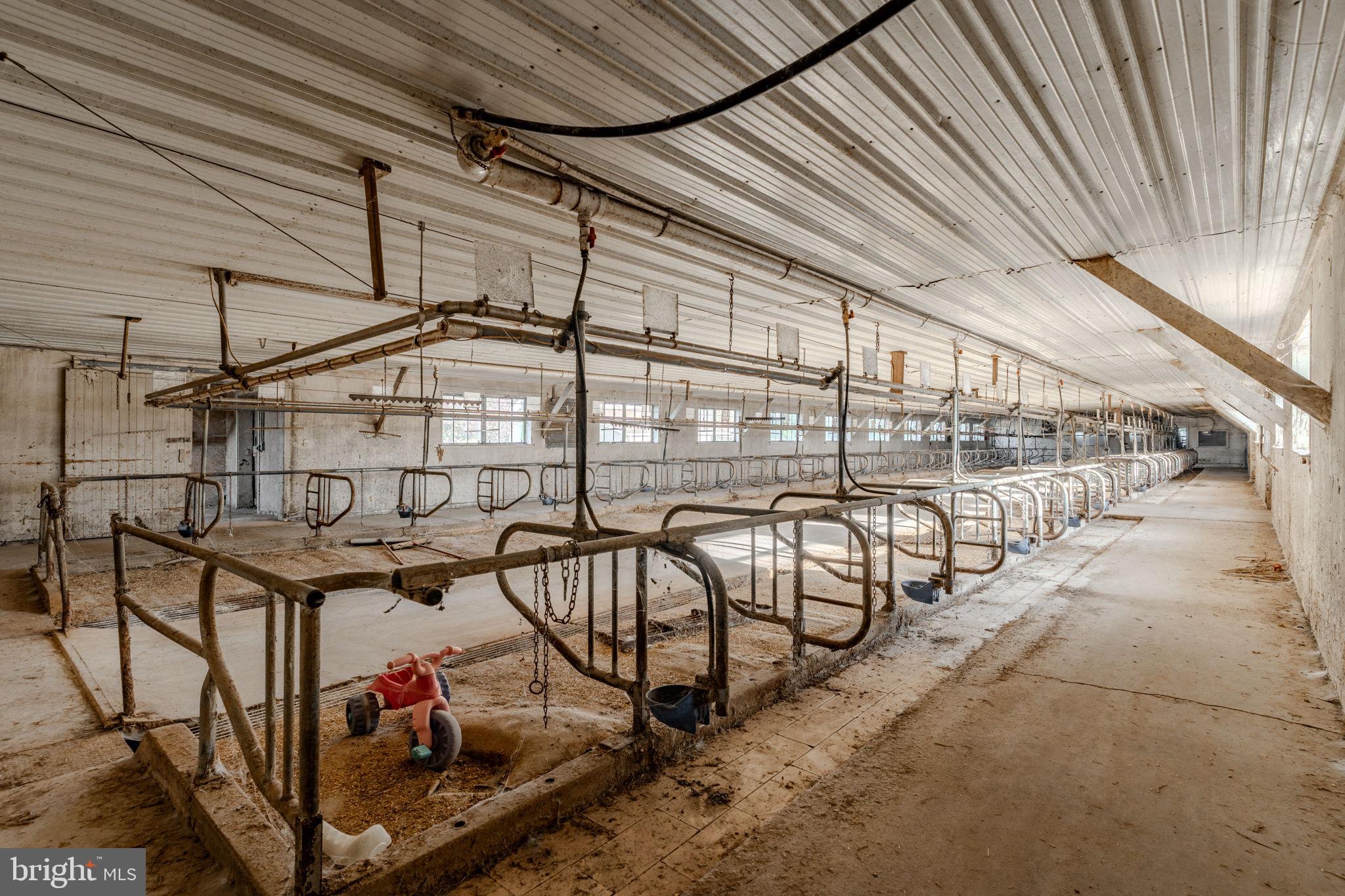 NONE AVAILABLE - Farm