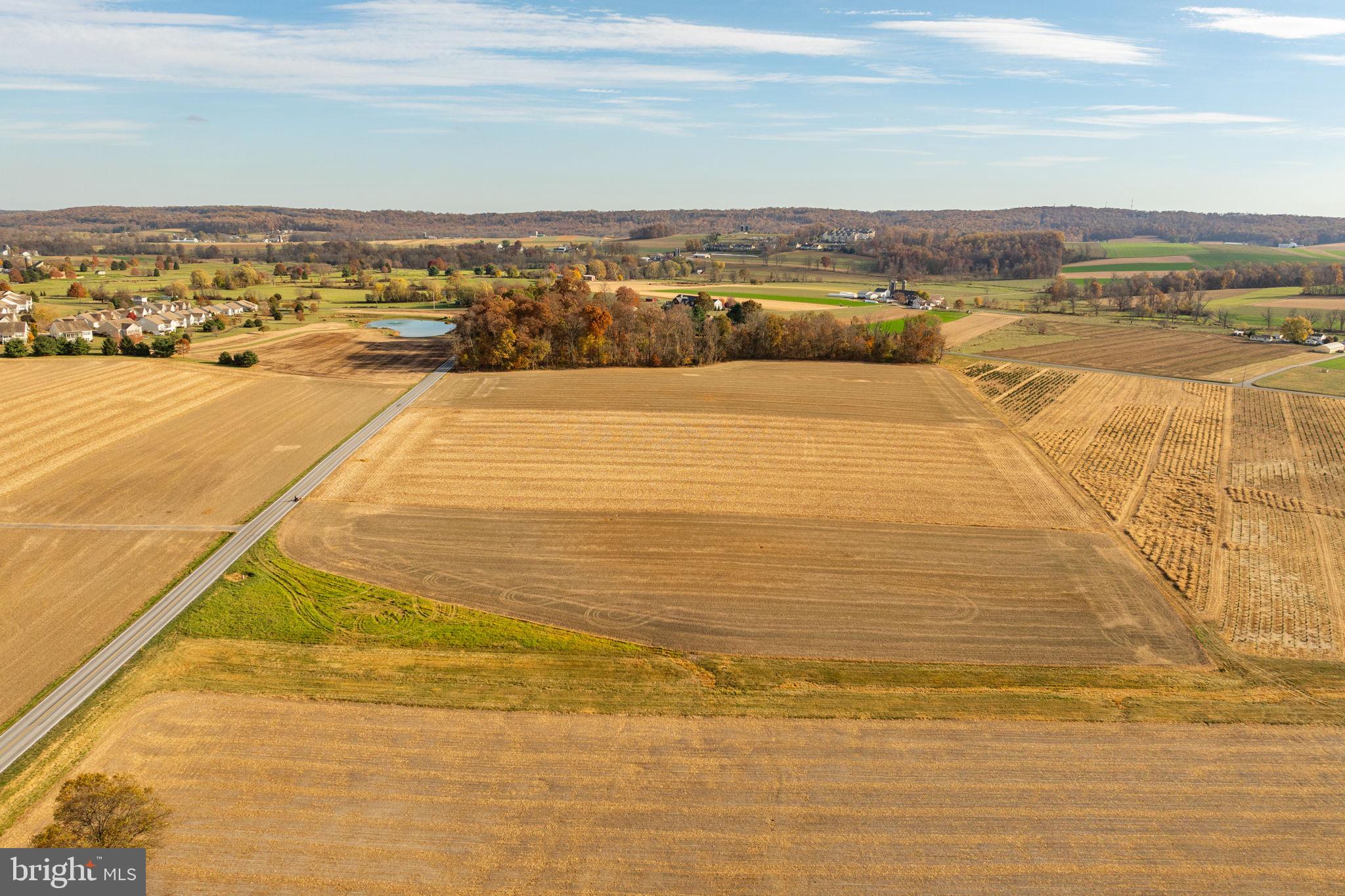 NONE AVAILABLE - Farm