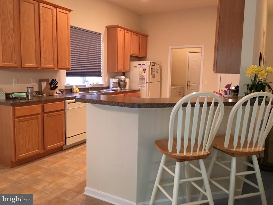 OCEAN PINES - THE PARKE - Residential