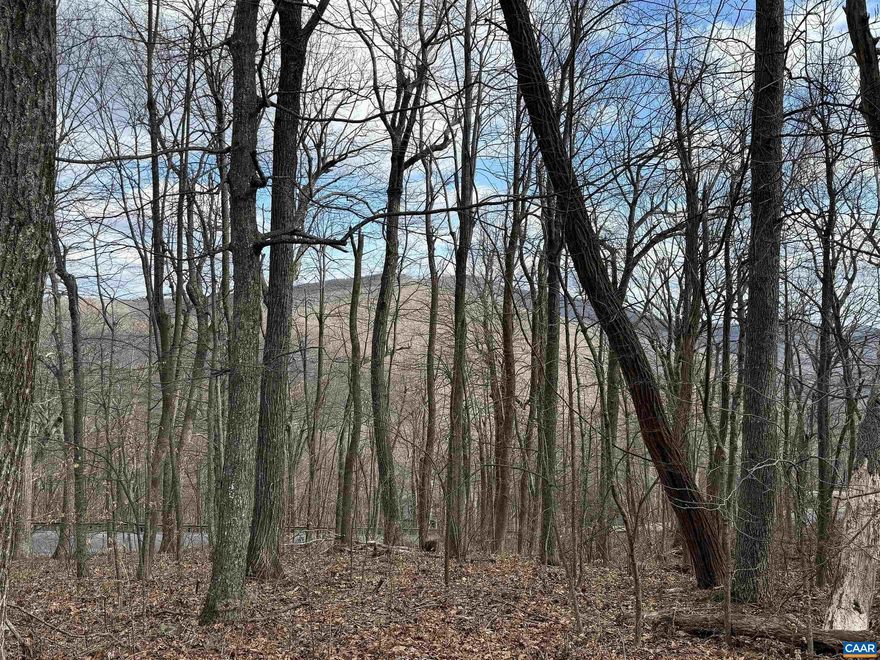 Dreaming of a picturesque mountain retreat? This 0.42-acre vacant lot in Wintergreen Resort offers the perfect blend of tranquility, natural beauty, and convenience. Situated at the end of a quiet street with only a handful of homes, this property provides the privacy and peacefulness you crave, whether for a vacation getaway or a full-time residence. With flat terrain, building your dream home is made easy, and the generous lot size allows space for a home and a garage?an ideal setup for year-round living or a weekend escape. Enjoy beautiful seasonal mountain and sunrise views (from early November through early May) and quick access to nearby hiking trails, immersing yourself in nature whenever you desire. This property does offer some long distance seasonal valley views to the East. Located in the heart of Wintergreen, this homesite provides access to resort amenities while offering the serenity of a secluded retreat. If you're looking for a scenic and quiet location to bring your mountain home vision to life, this lot is the perfect foundation for your dream.