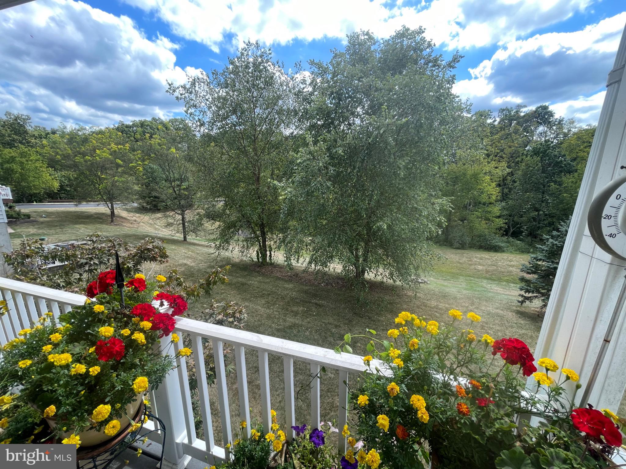 THE MEADOWS AT SKI - Residential