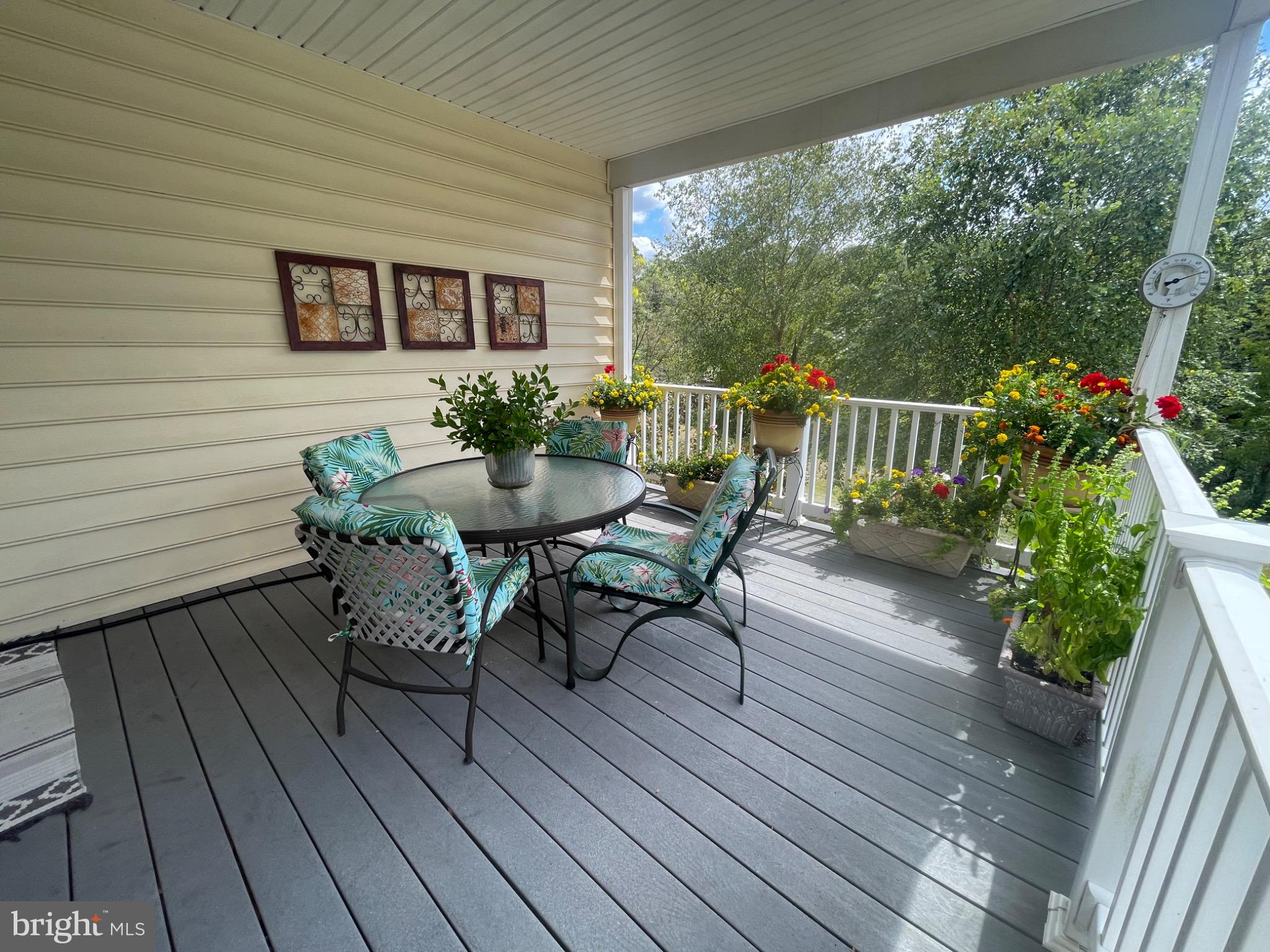 THE MEADOWS AT SKI - Residential