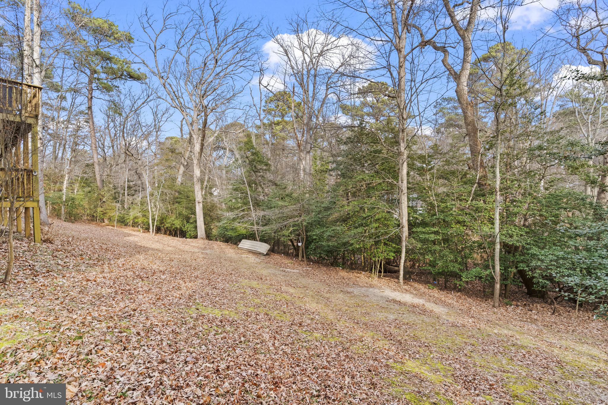 DRUM POINT - Residential