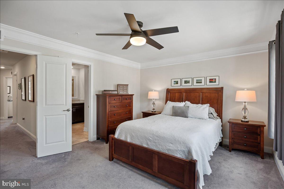 THE WOODS AT MYRTLE POINT - Residential