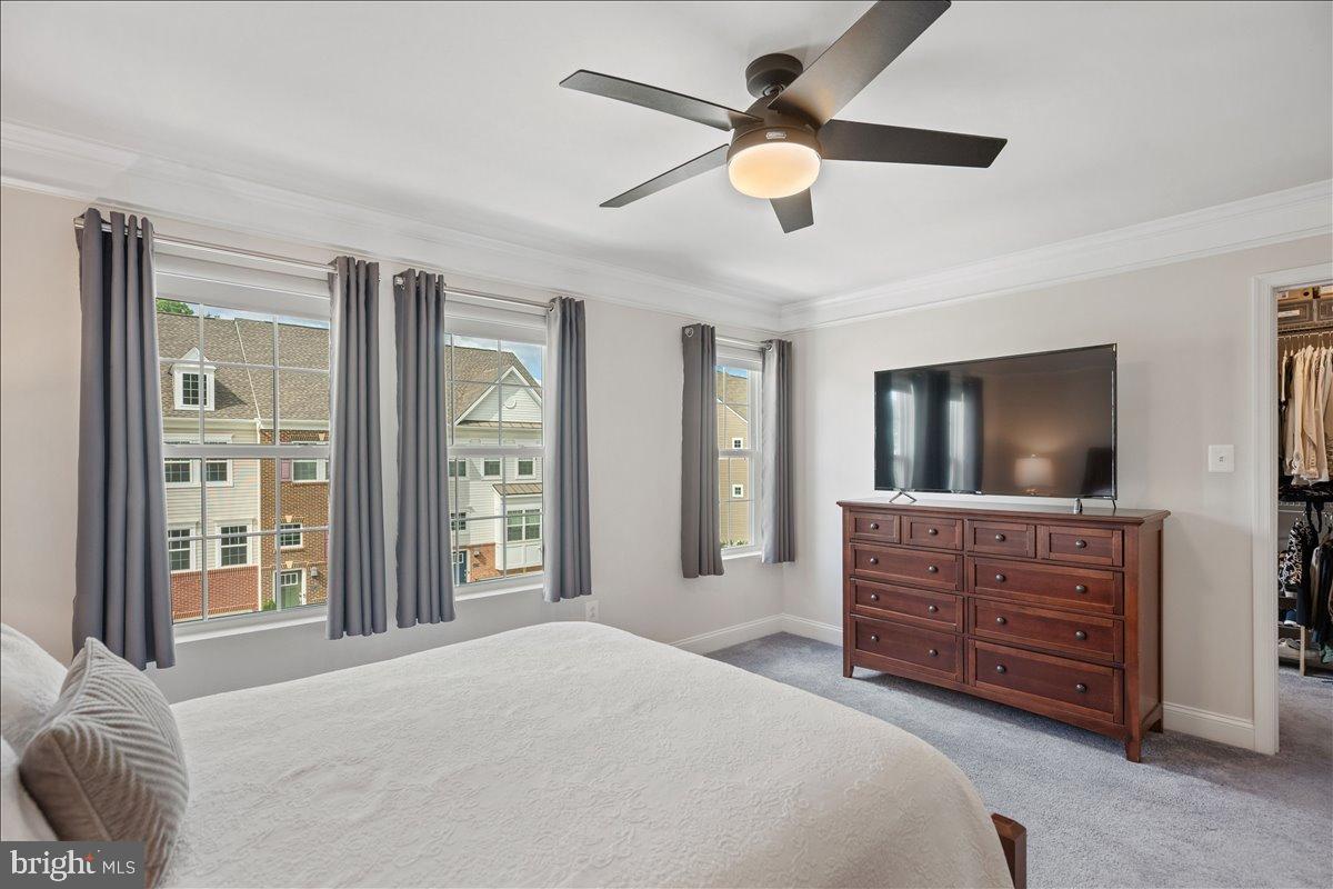 THE WOODS AT MYRTLE POINT - Residential