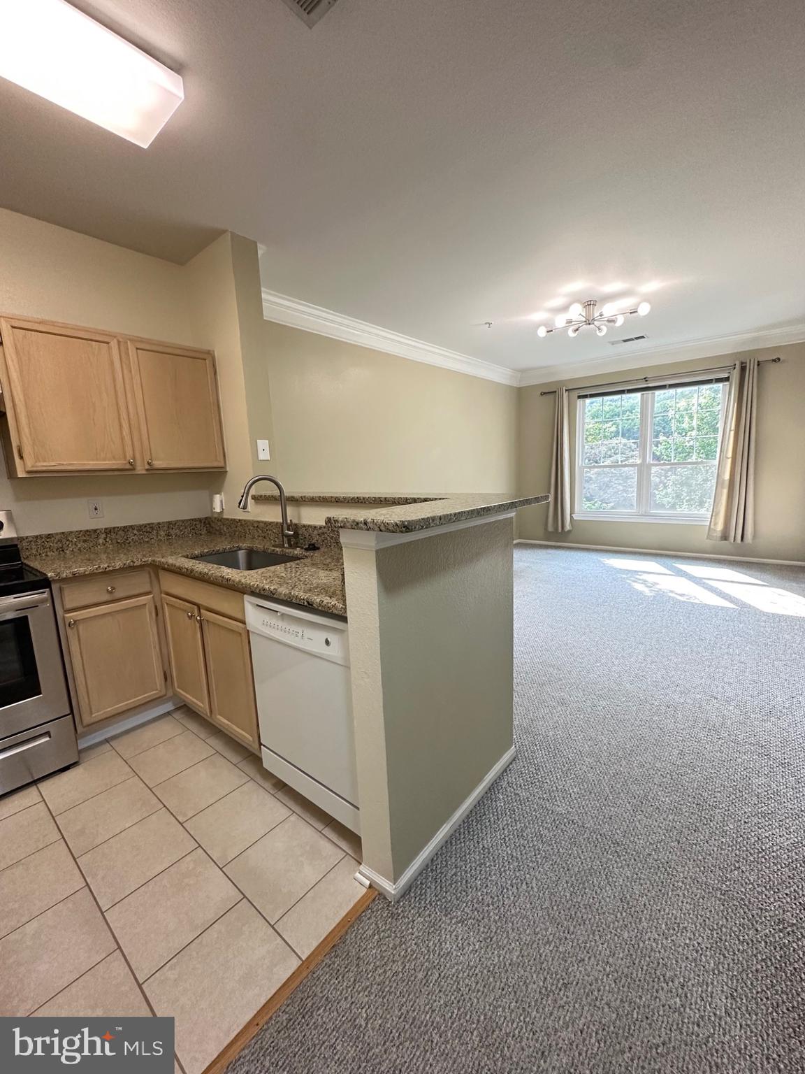 1580 SPRING GATE DRIVE 4216