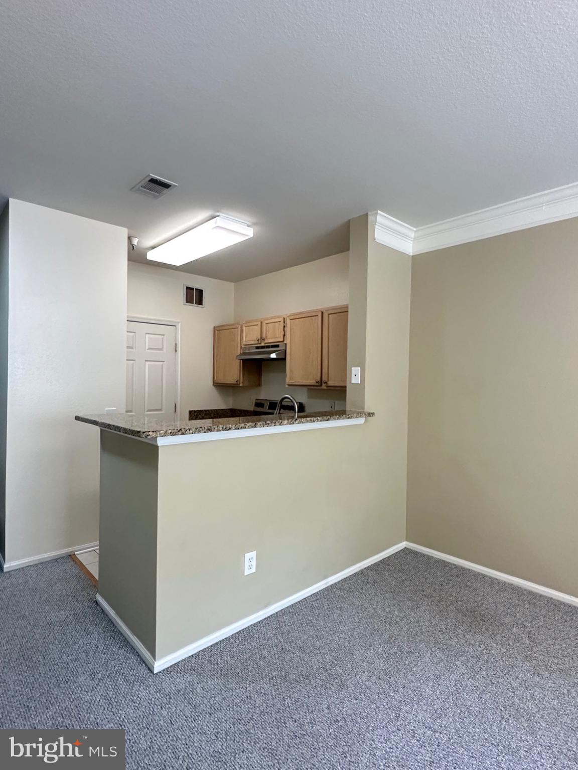 1580 SPRING GATE DRIVE 4216