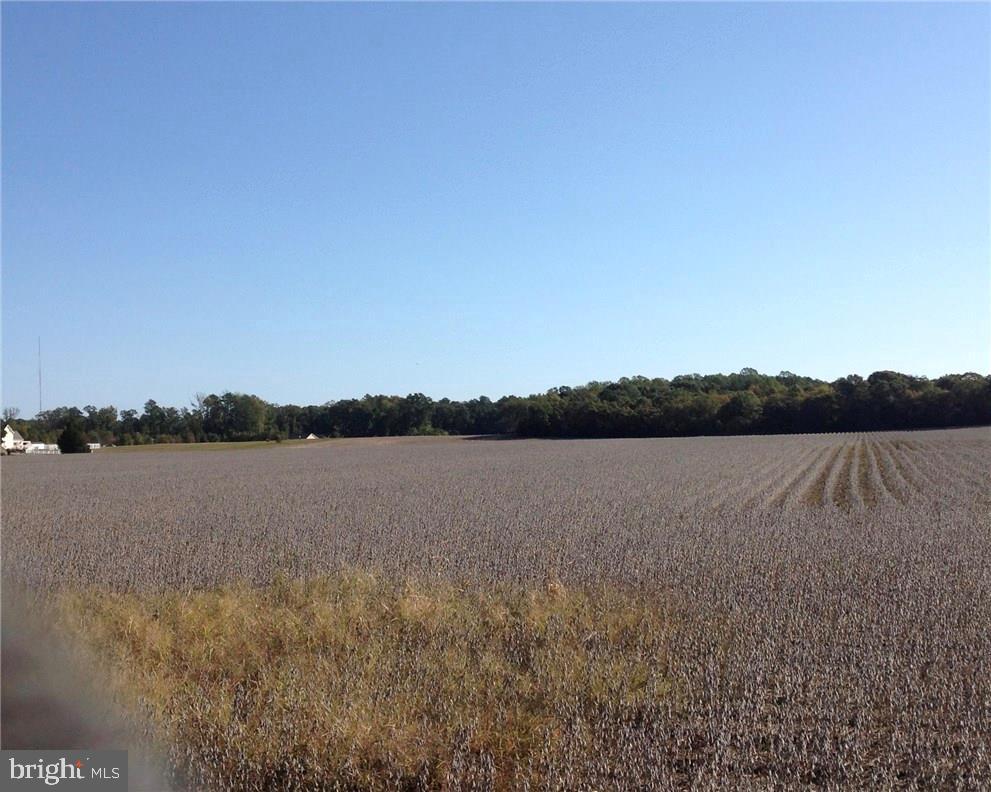 NONE AVAILABLE - Land