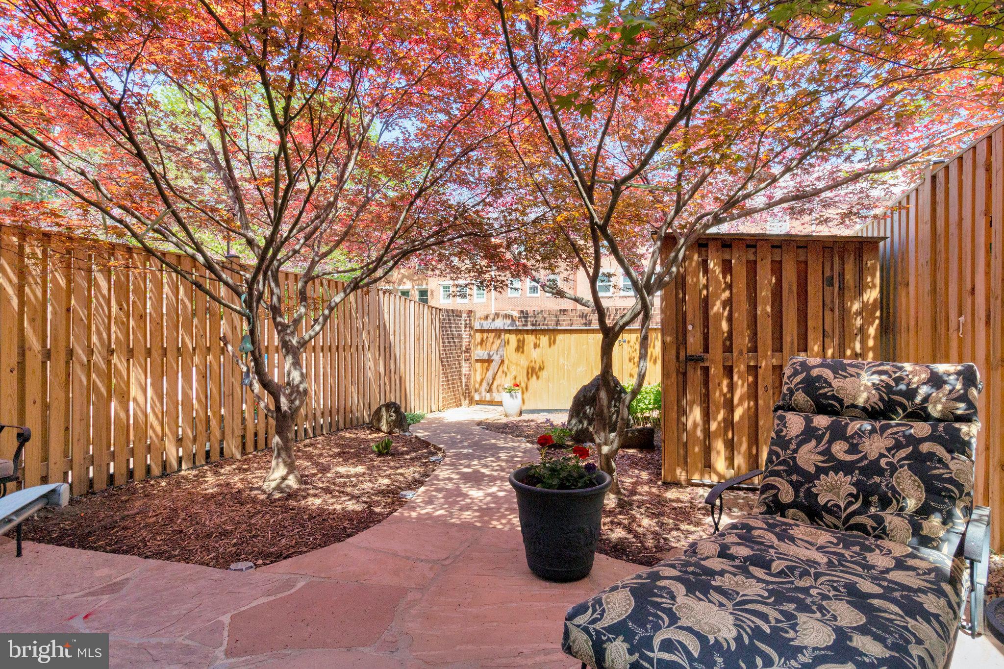 ADAMS COURT - Residential