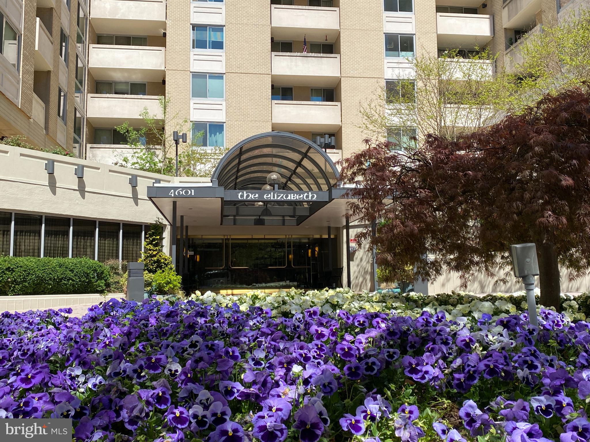 FRIENDSHIP HEIGHTS - Residential