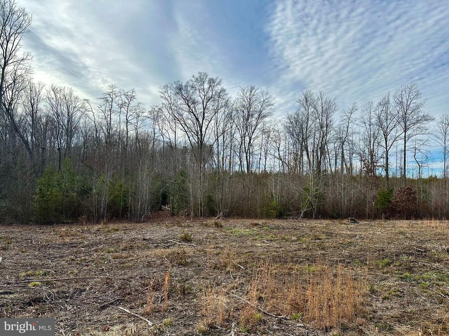 Beautiful 1.66-acre lot ready for you to build your dream home in a great Bumpass location. Bring your own builder or let us recommend one.  Conveniently located near Lake Anna, with easy access to local shopping and dining. Don’t miss this opportunity!