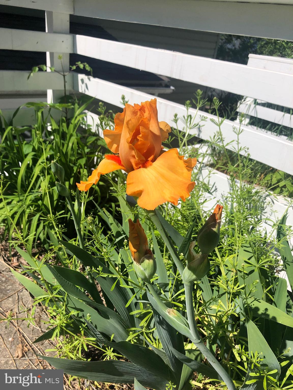 BRUNSWICK - Residential