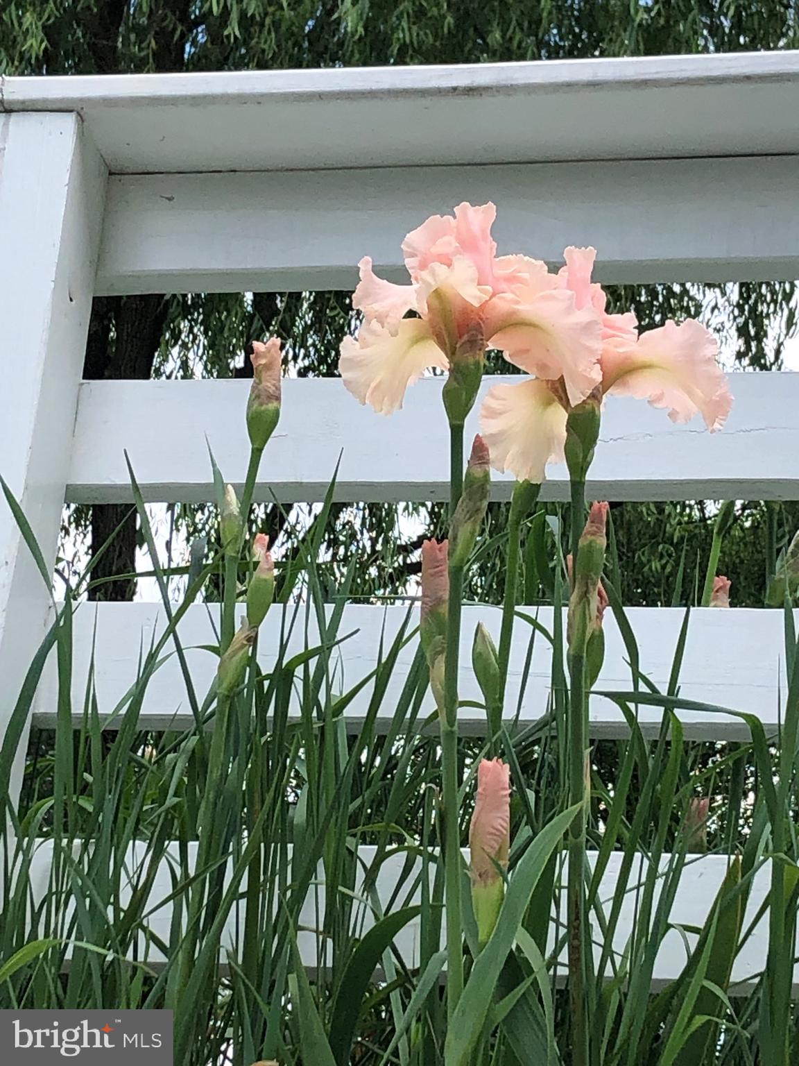 BRUNSWICK - Residential