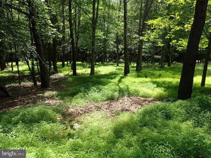 12502 Knobley Road, Keyser, WV 26726