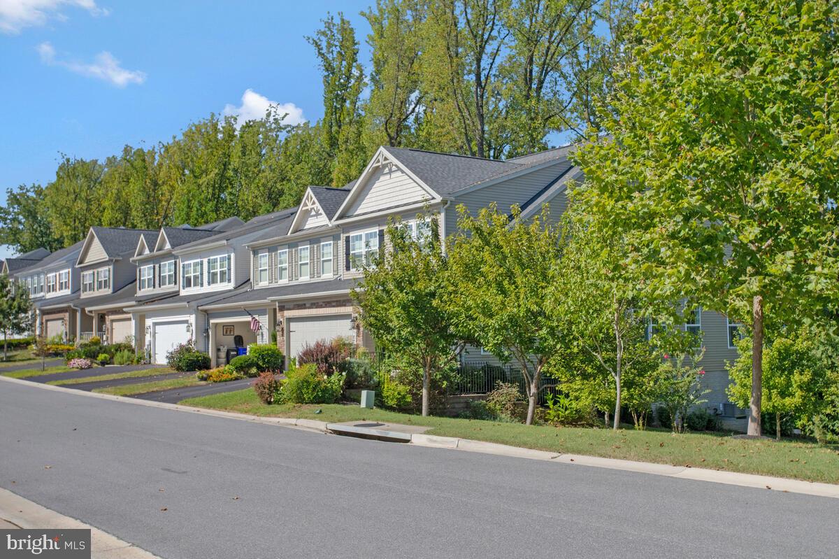 WALDEN WOODS - Residential