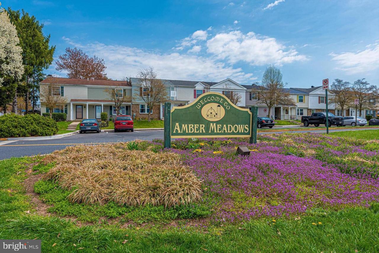 AMBER MEADOWS - Residential Lease